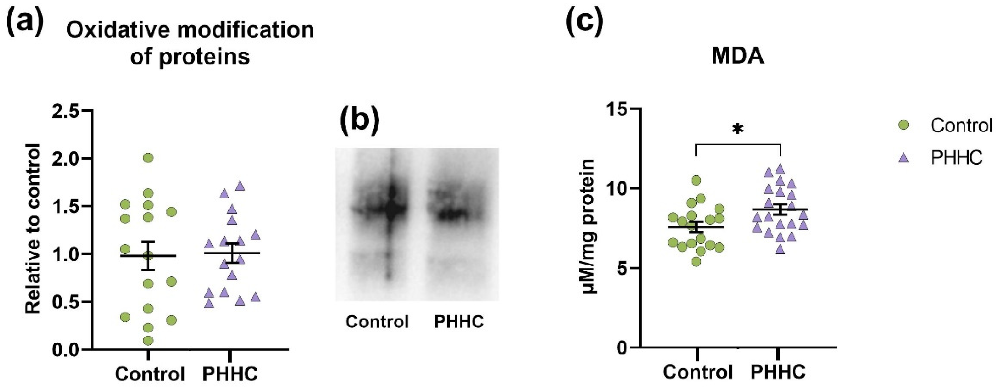 Cells 12 00189 g010 Cells 12 00189 g010