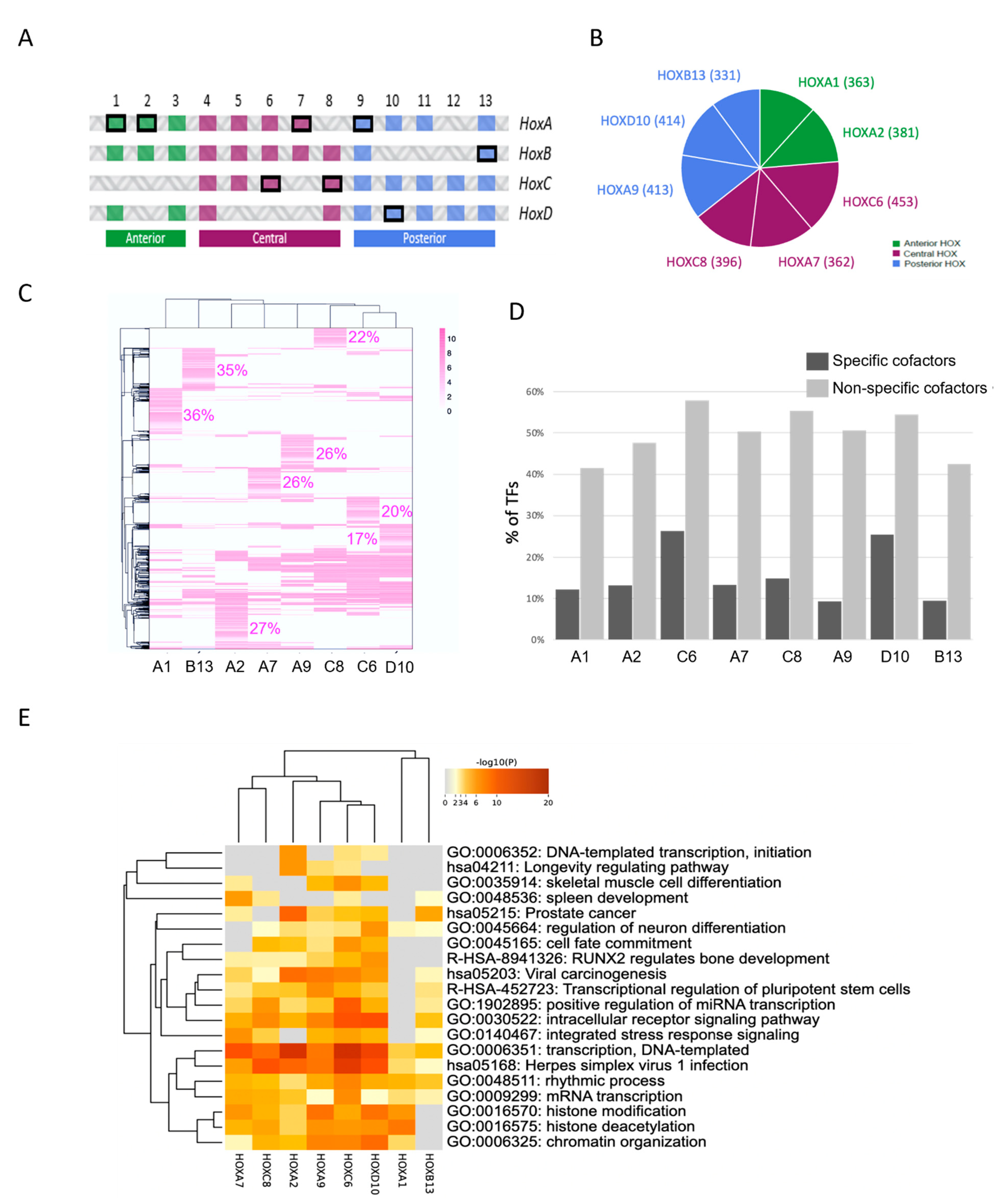 Cells 12 00200 g004 Cells 12 00200 g004