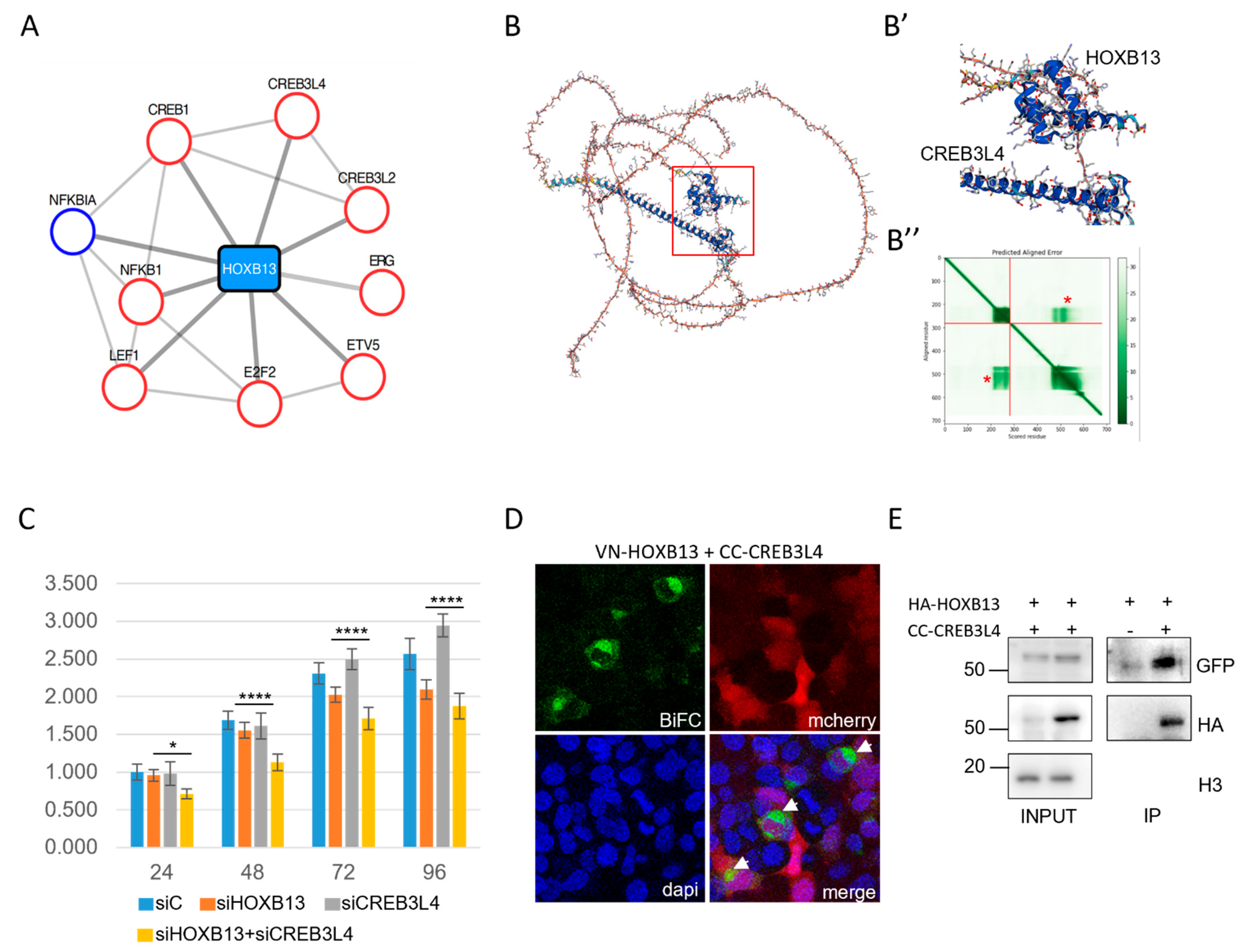 Cells 12 00200 g006 Cells 12 00200 g006
