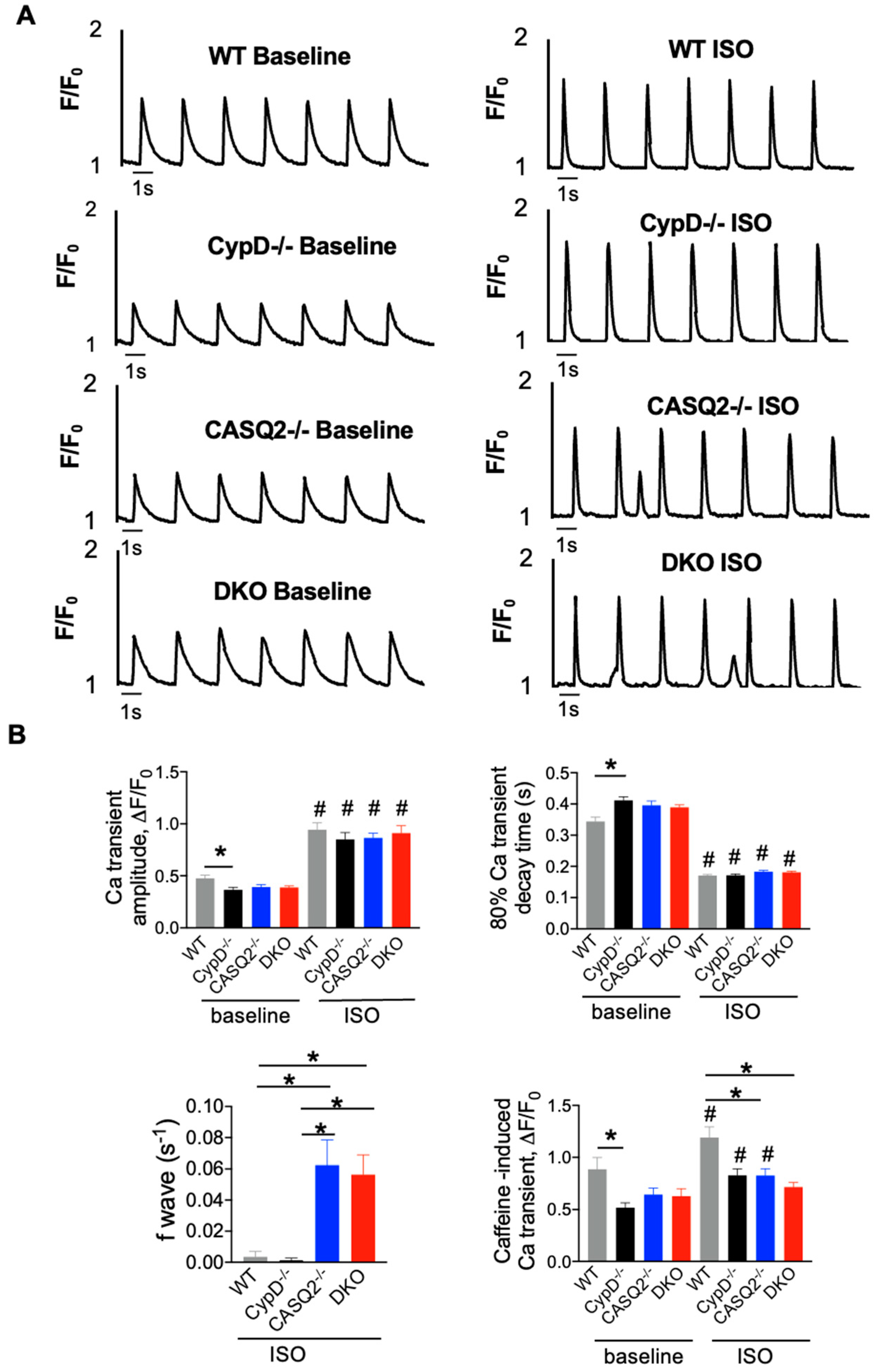 Cells 12 00204 g002 Cells 12 00204 g002