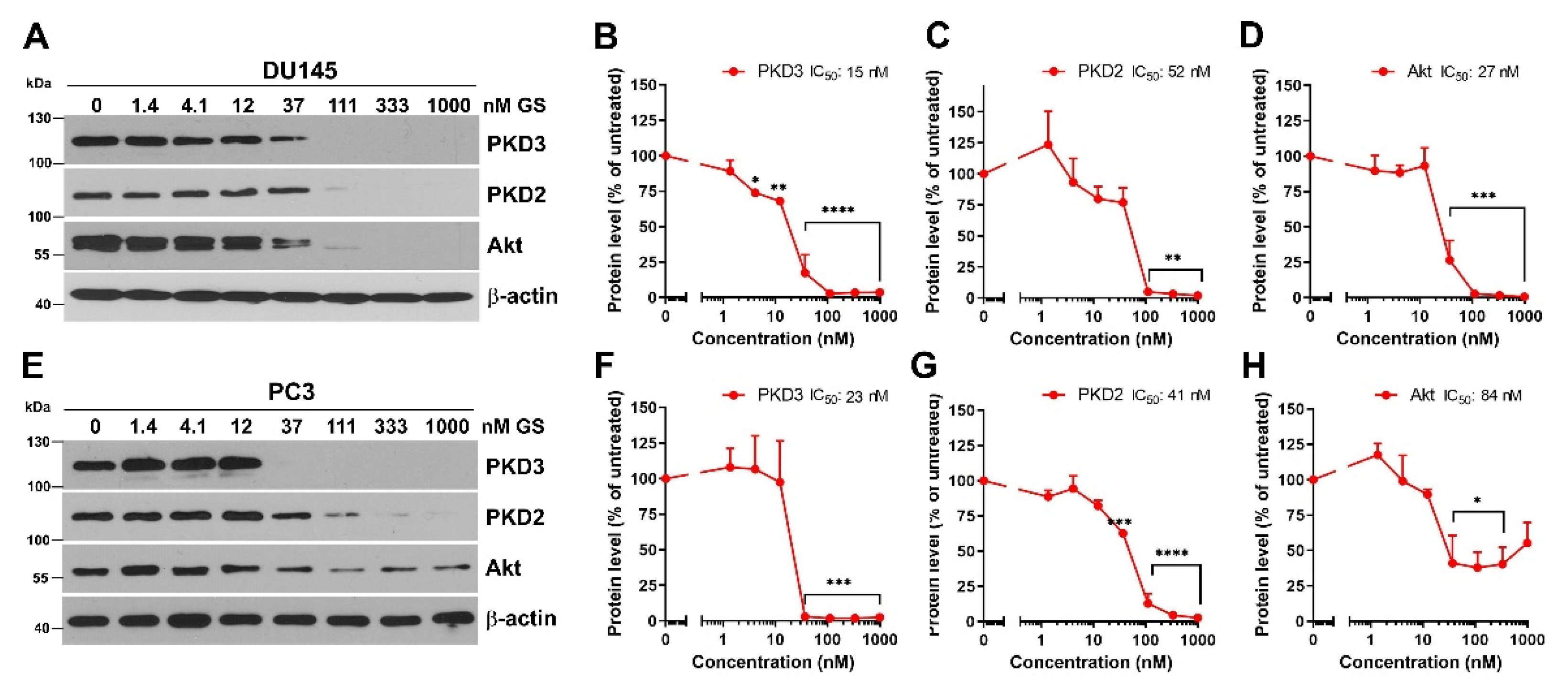 Cells 12 00212 g002 Cells 12 00212 g002