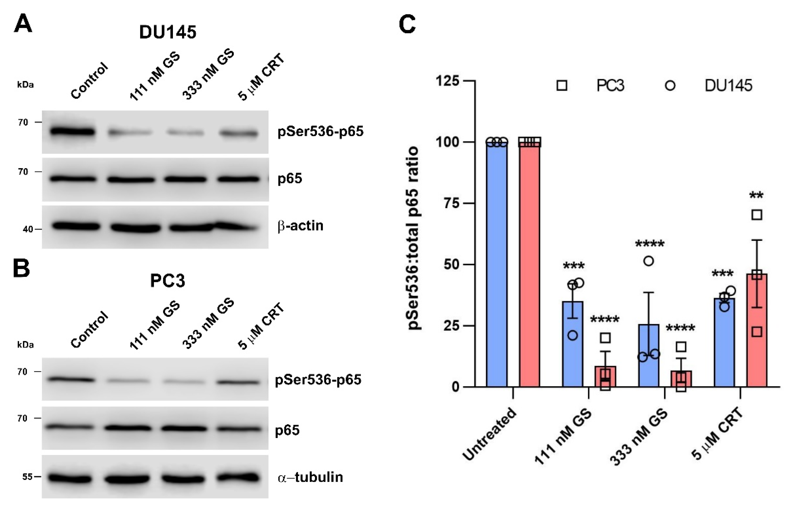 Cells 12 00212 g004 Cells 12 00212 g004