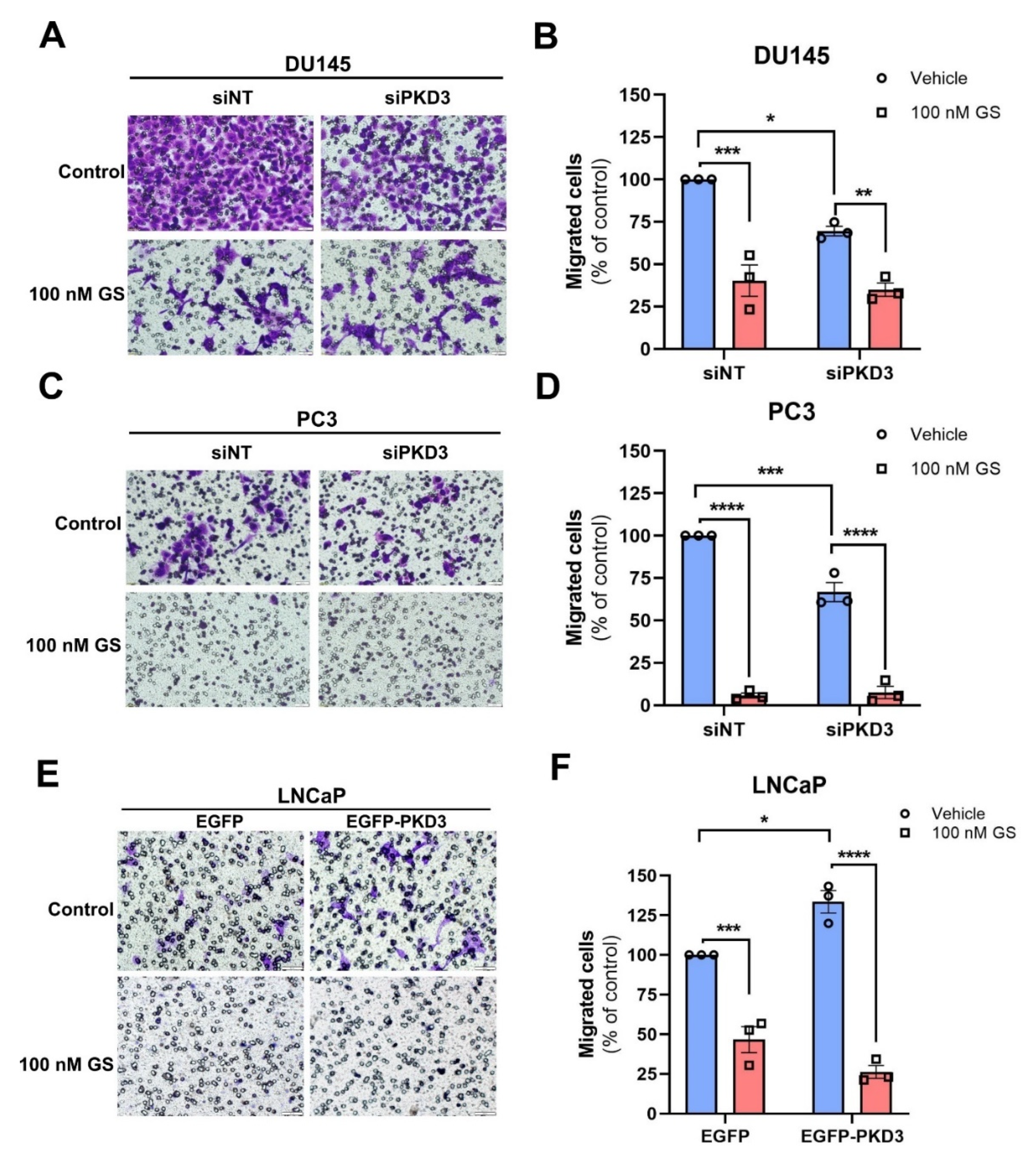 Cells 12 00212 g005 Cells 12 00212 g005