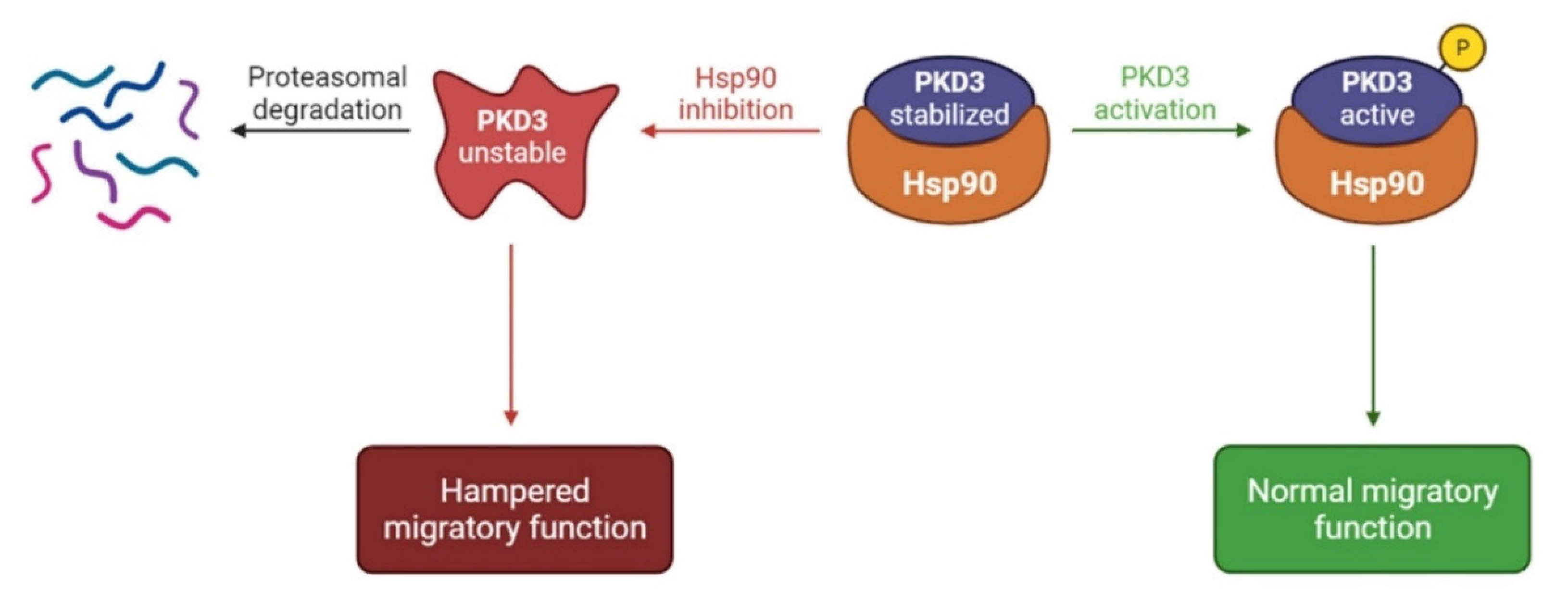 Cells 12 00212 g006 Cells 12 00212 g006