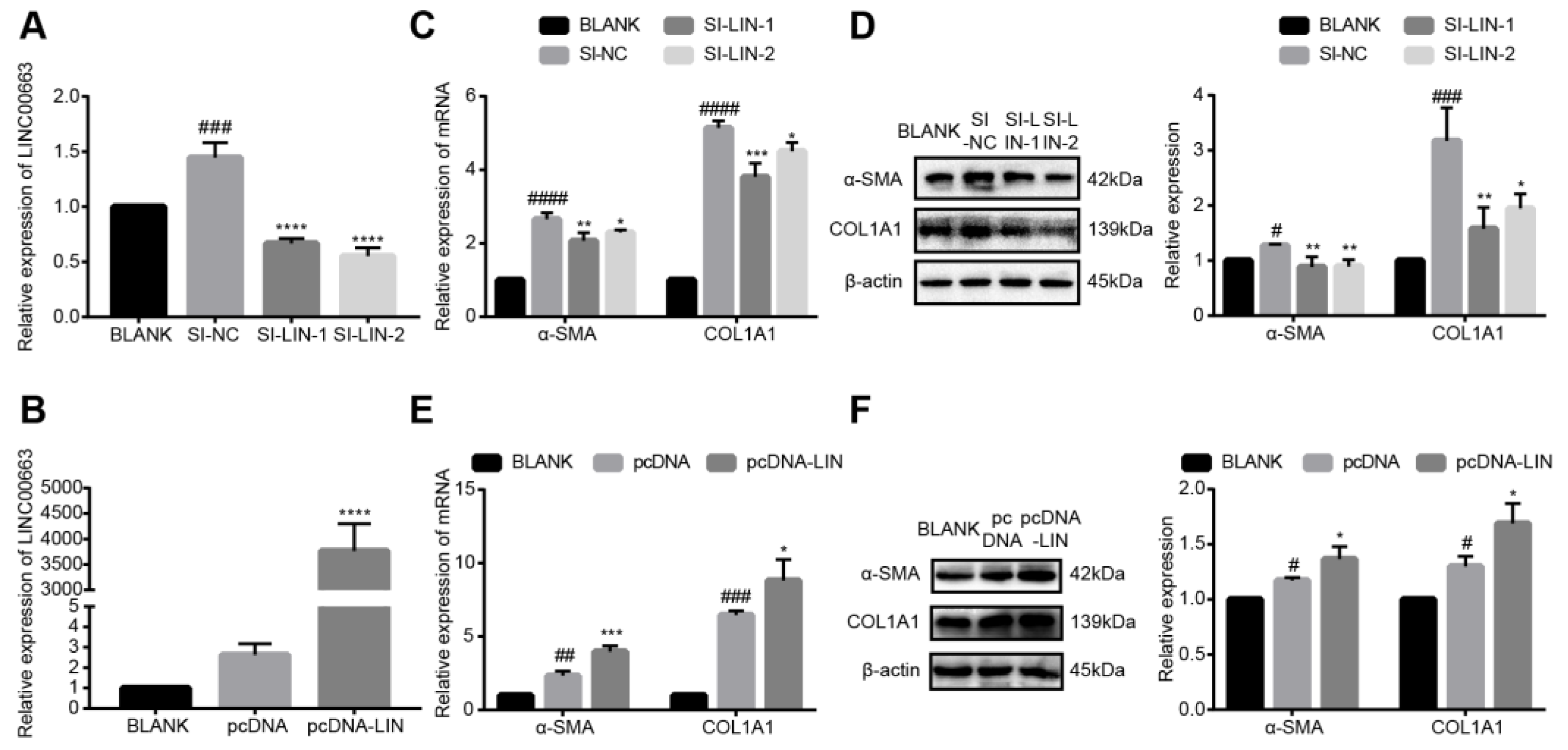 Cells 12 00215 g003 Cells 12 00215 g003