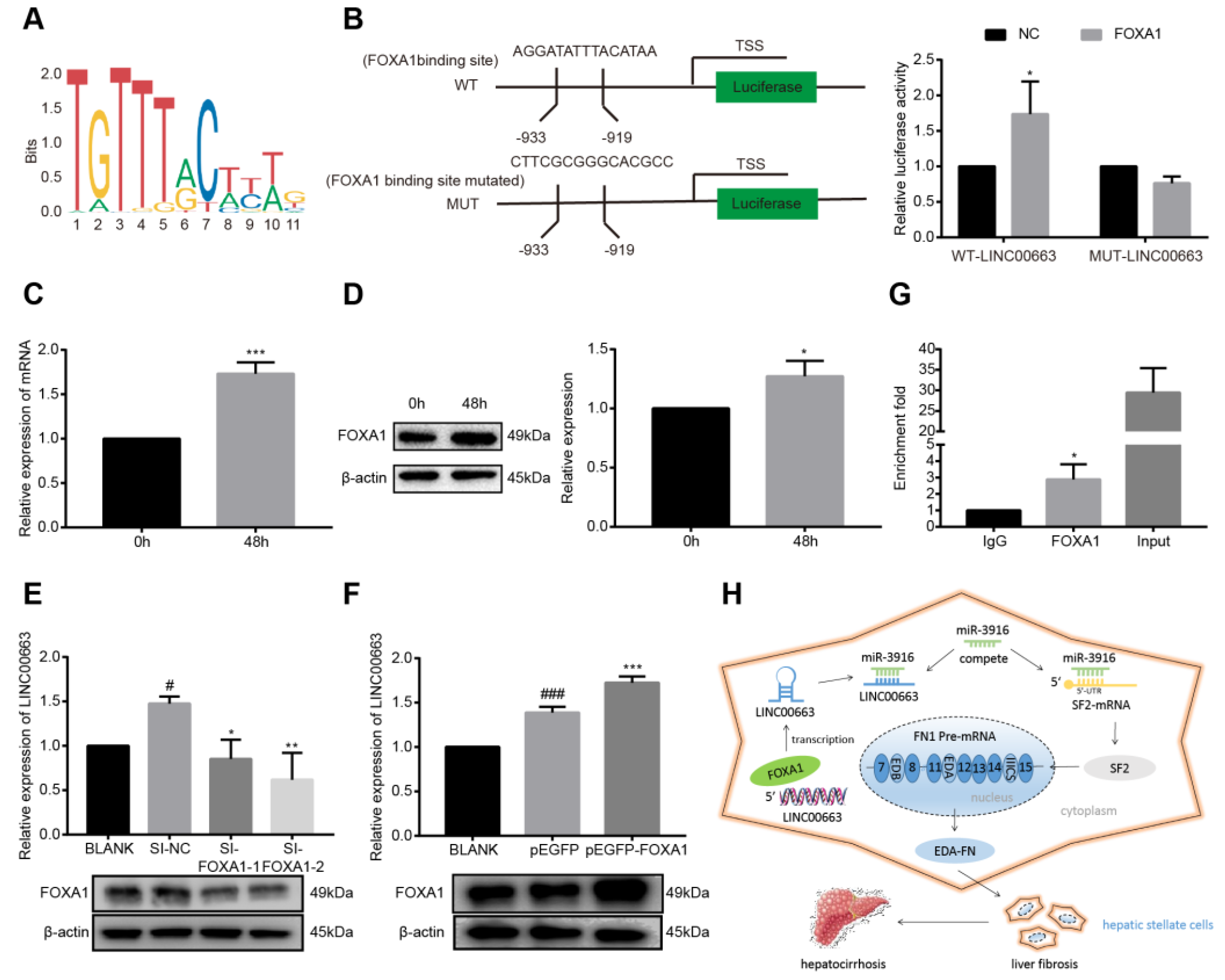 Cells 12 00215 g008 Cells 12 00215 g008