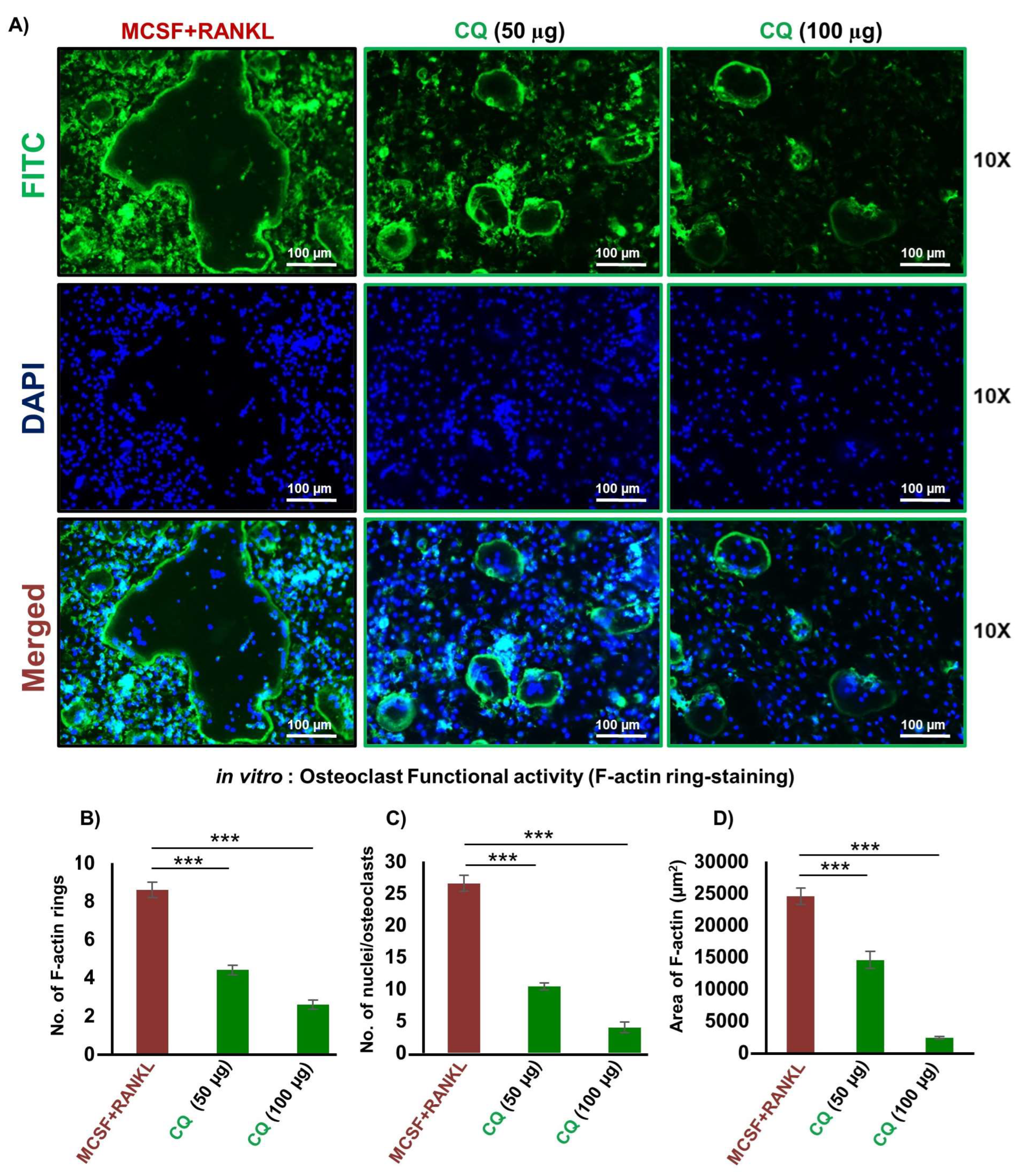 Cells 12 00216 g002 Cells 12 00216 g002