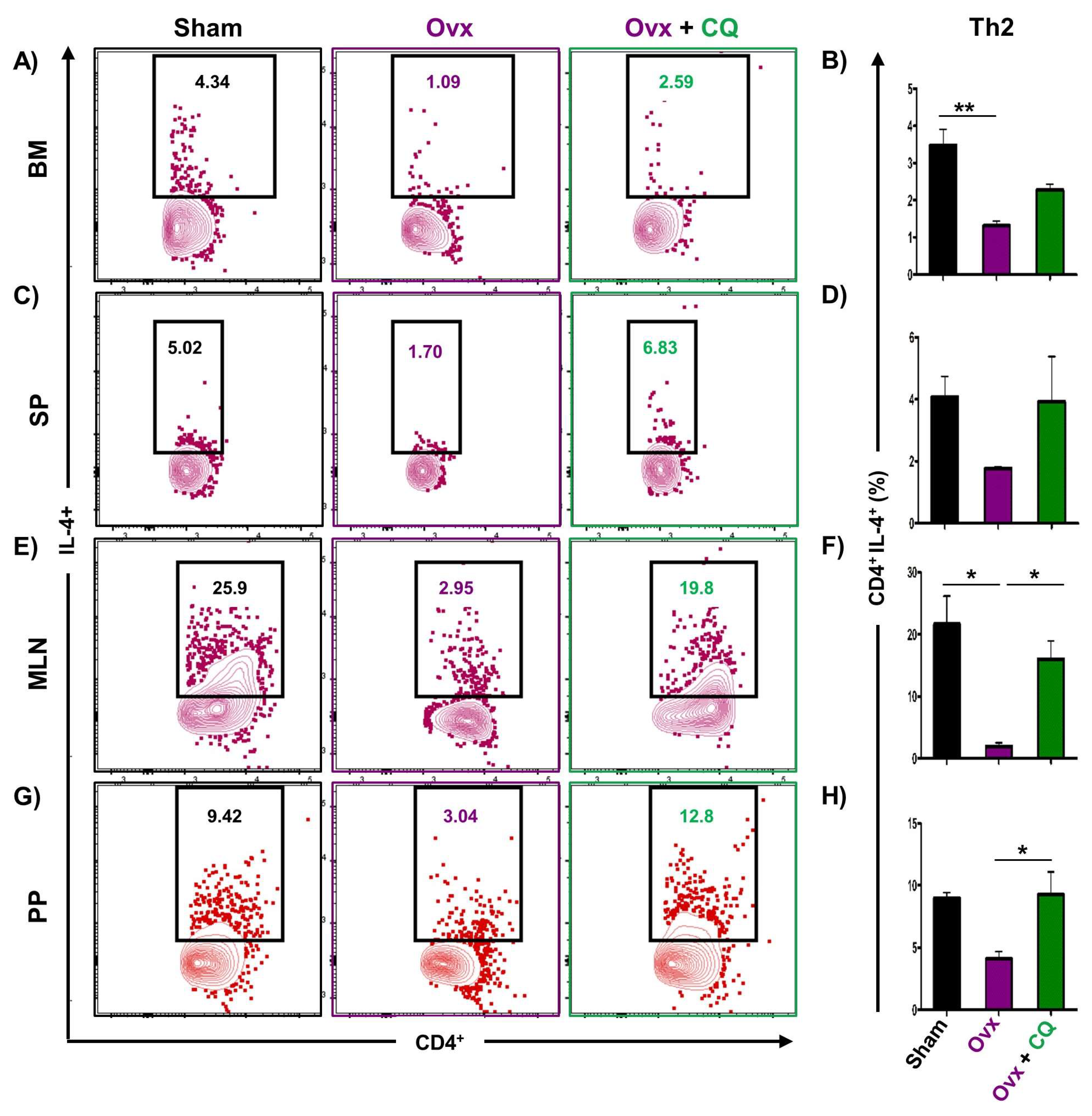 Cells 12 00216 g006 Cells 12 00216 g006