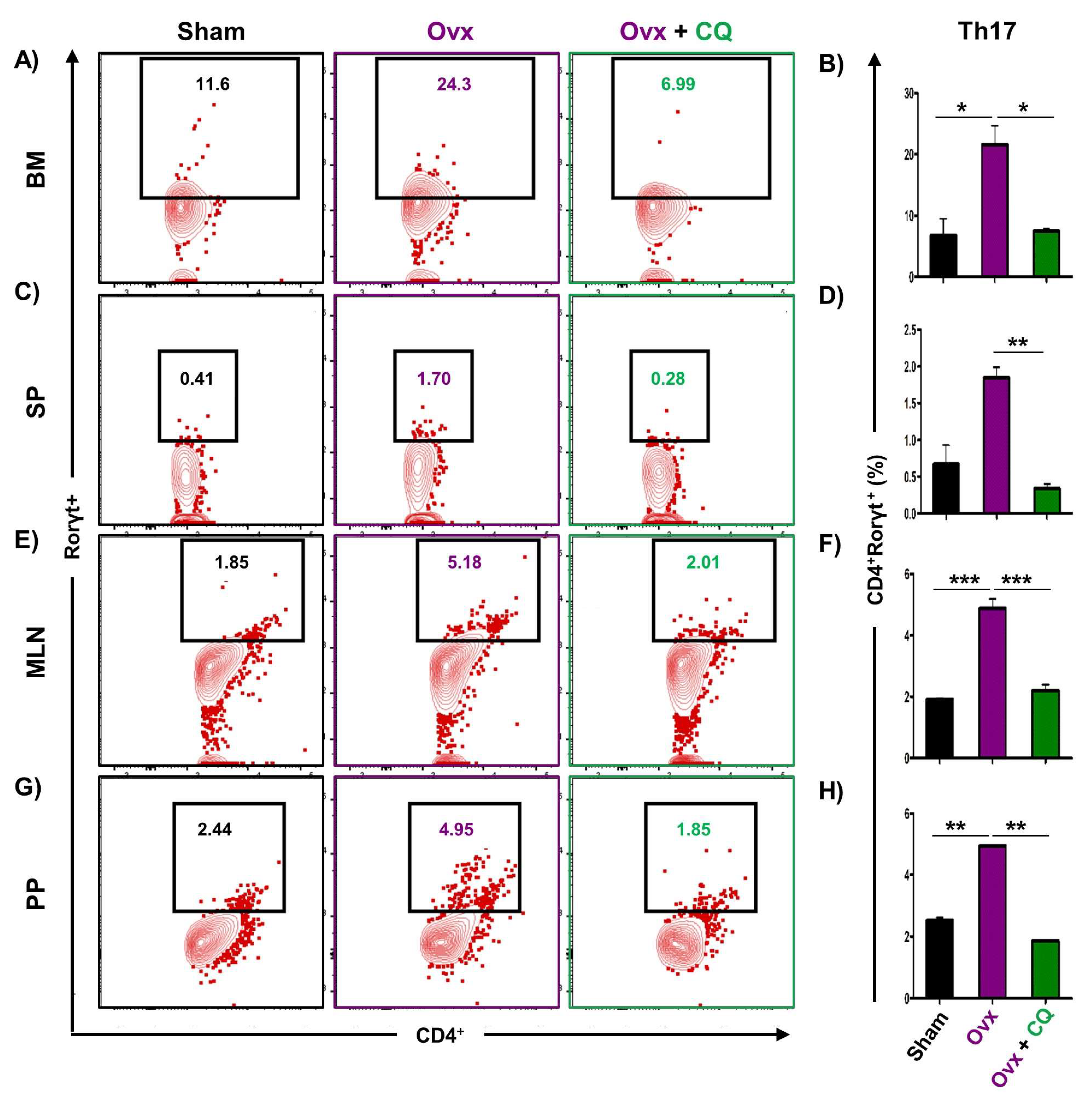 Cells 12 00216 g009 Cells 12 00216 g009