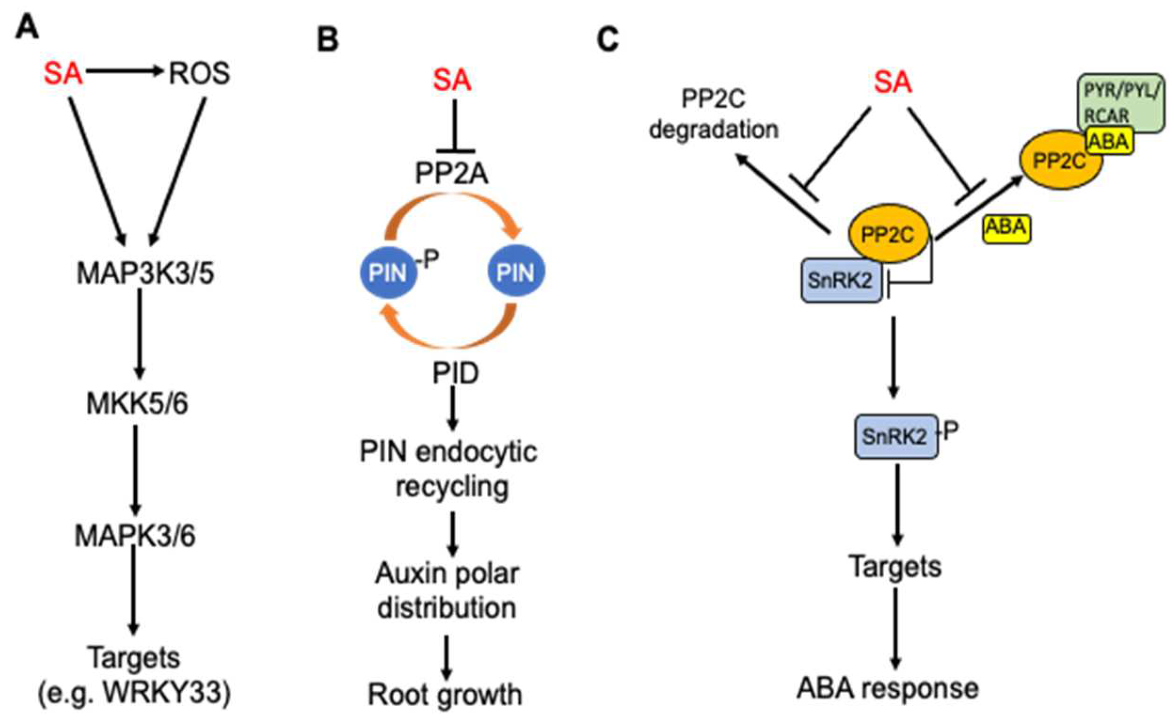 Cells 12 00219 g003 Cells 12 00219 g003