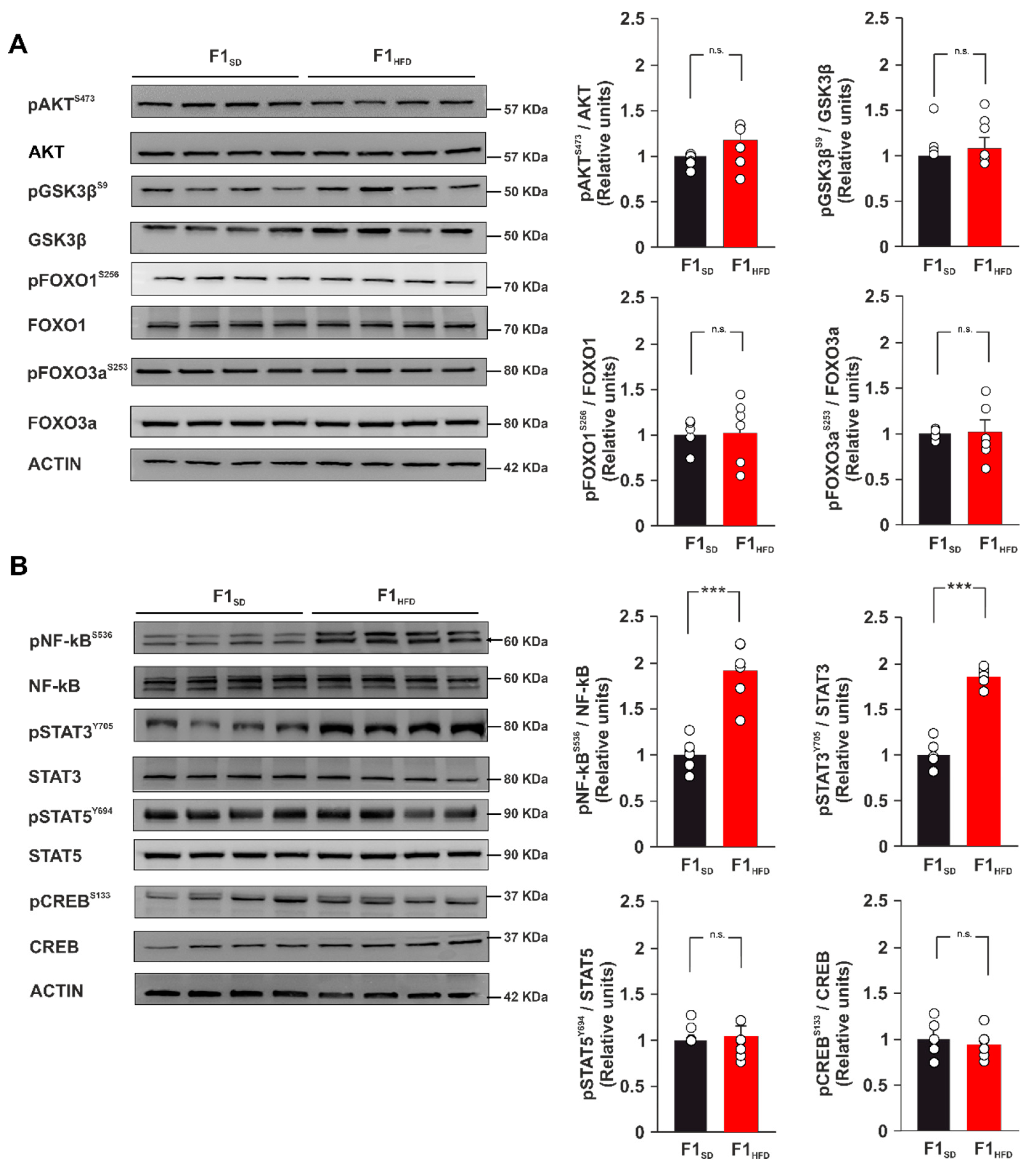 Cells 12 00220 g003 Cells 12 00220 g003