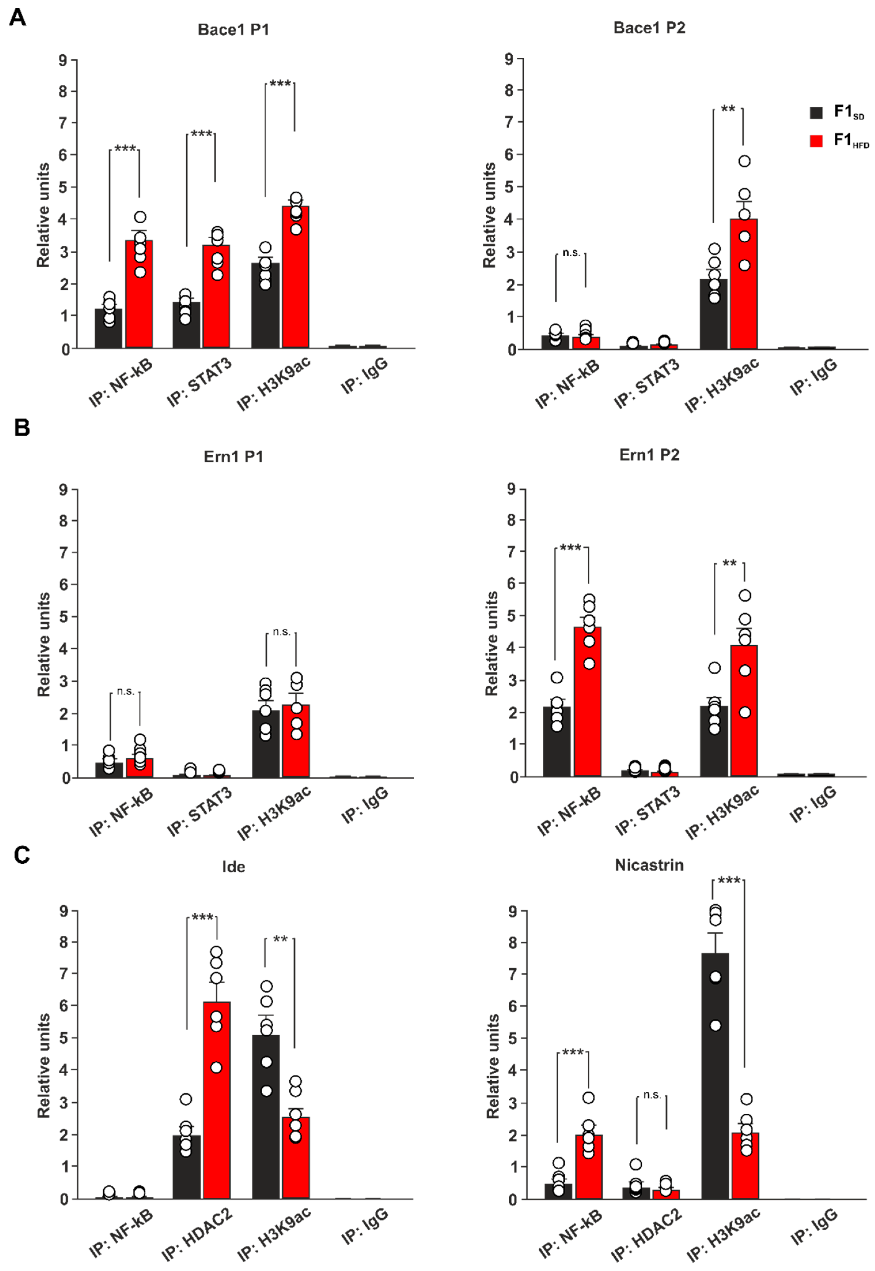 Cells 12 00220 g004 Cells 12 00220 g004