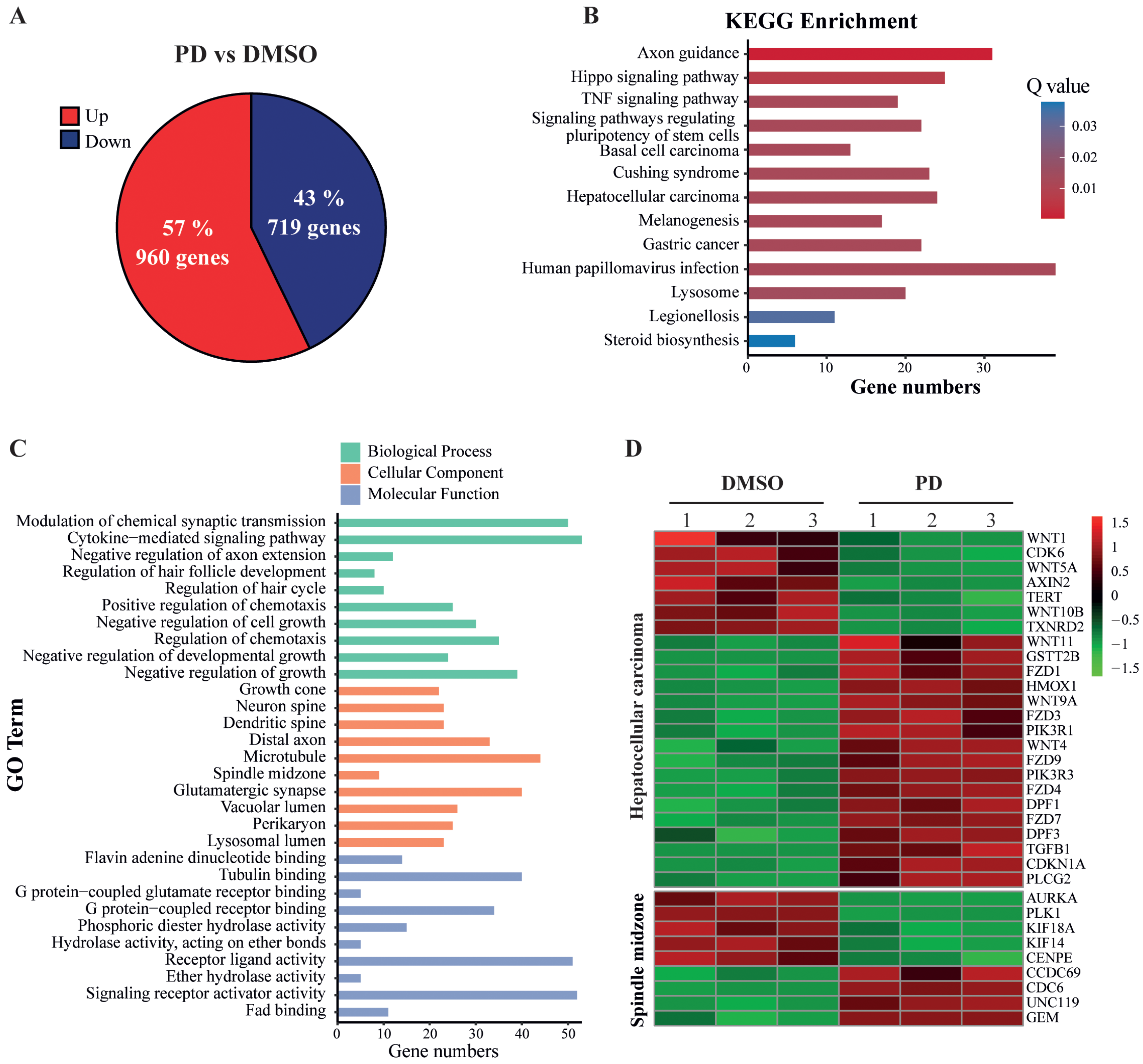 Cells 12 00222 g004 Cells 12 00222 g004