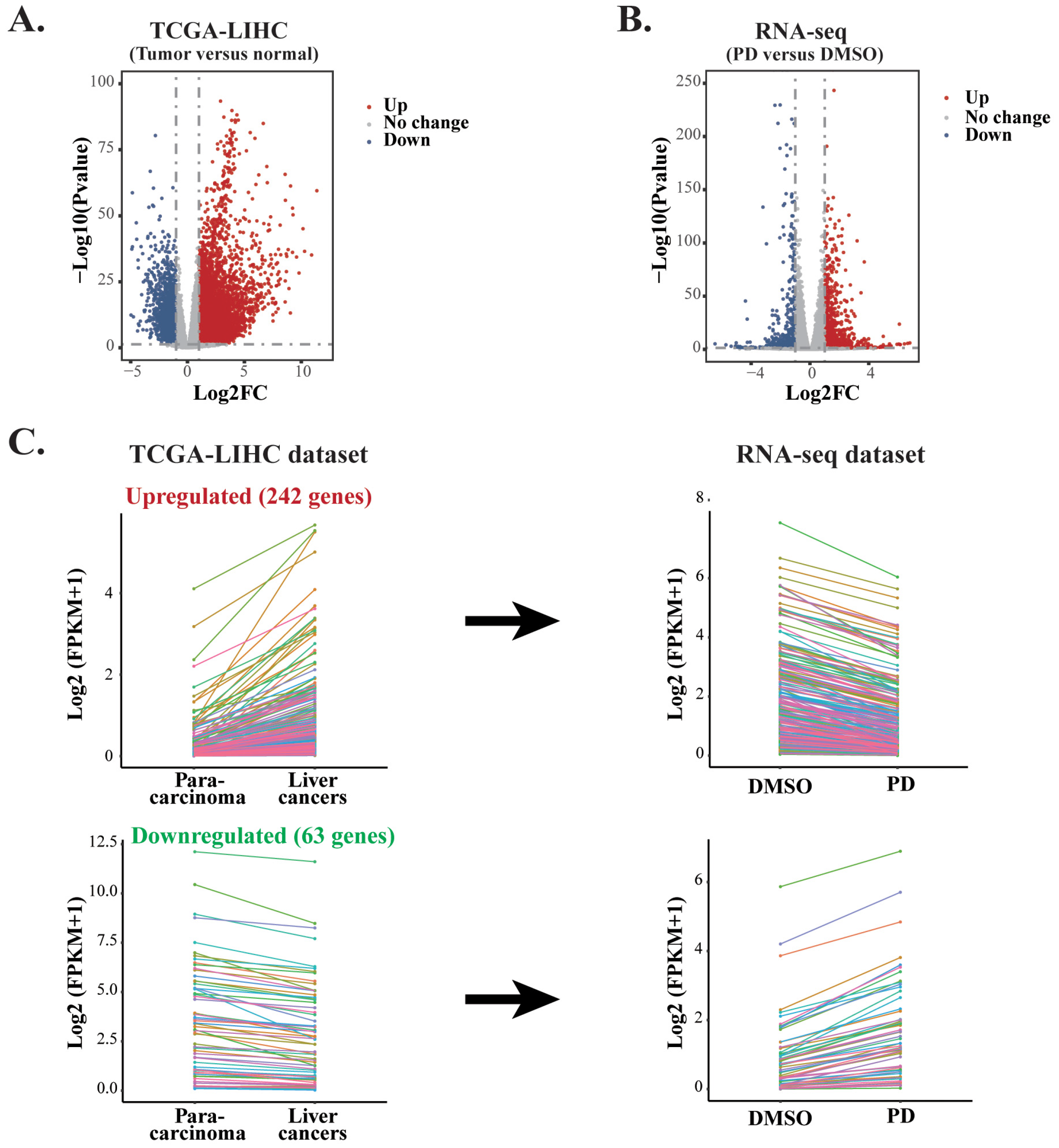 Cells 12 00222 g005a Cells 12 00222 g005a