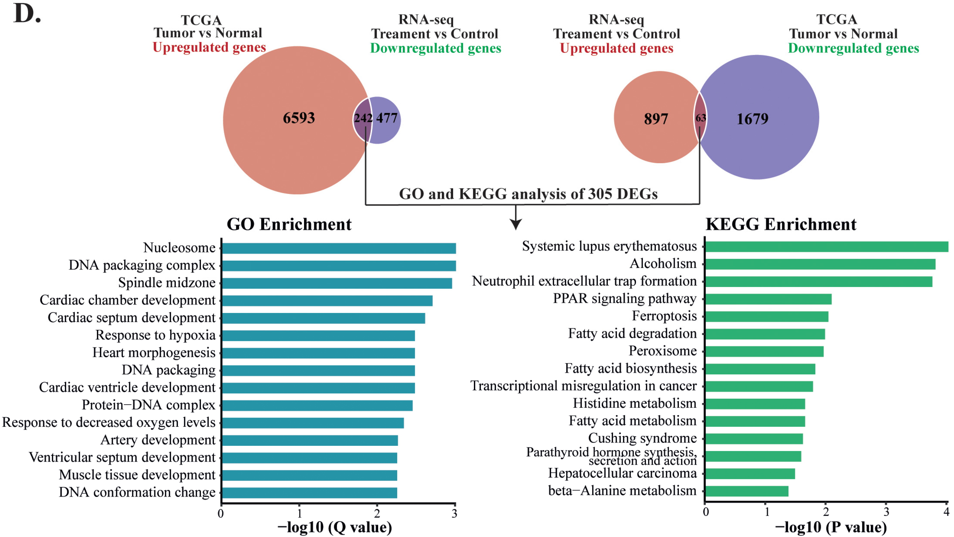 Cells 12 00222 g005b Cells 12 00222 g005b