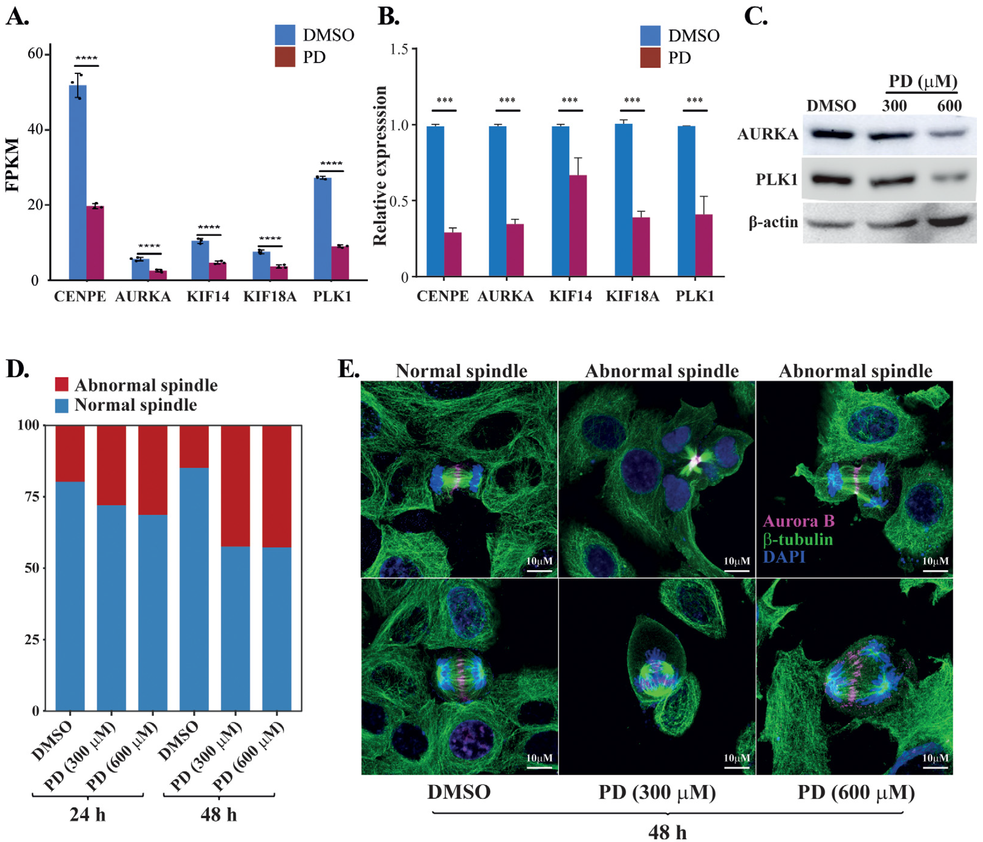 Cells 12 00222 g006 Cells 12 00222 g006