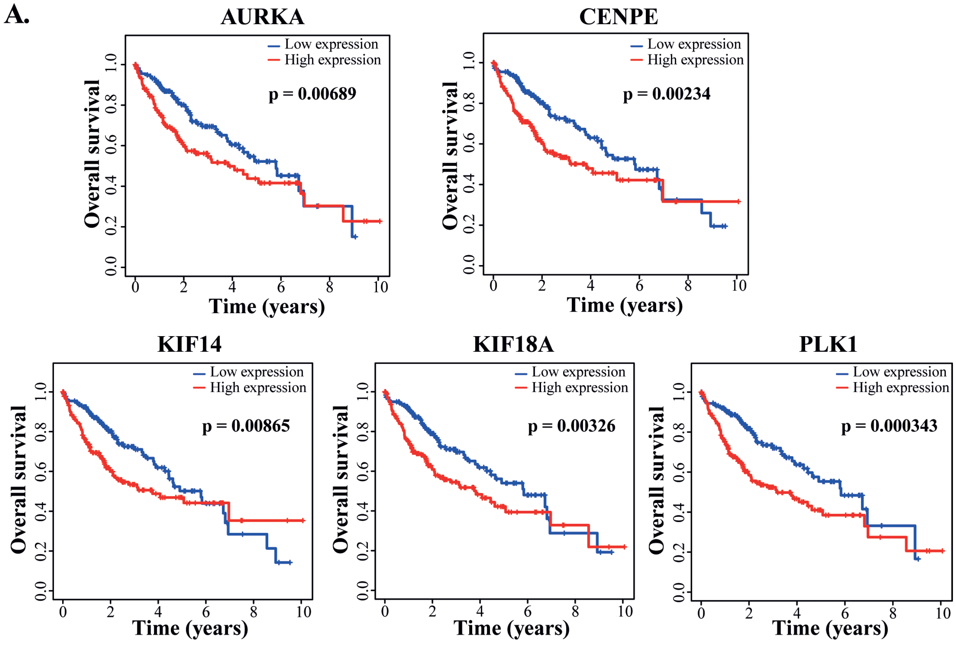 Cells 12 00222 g007a Cells 12 00222 g007a