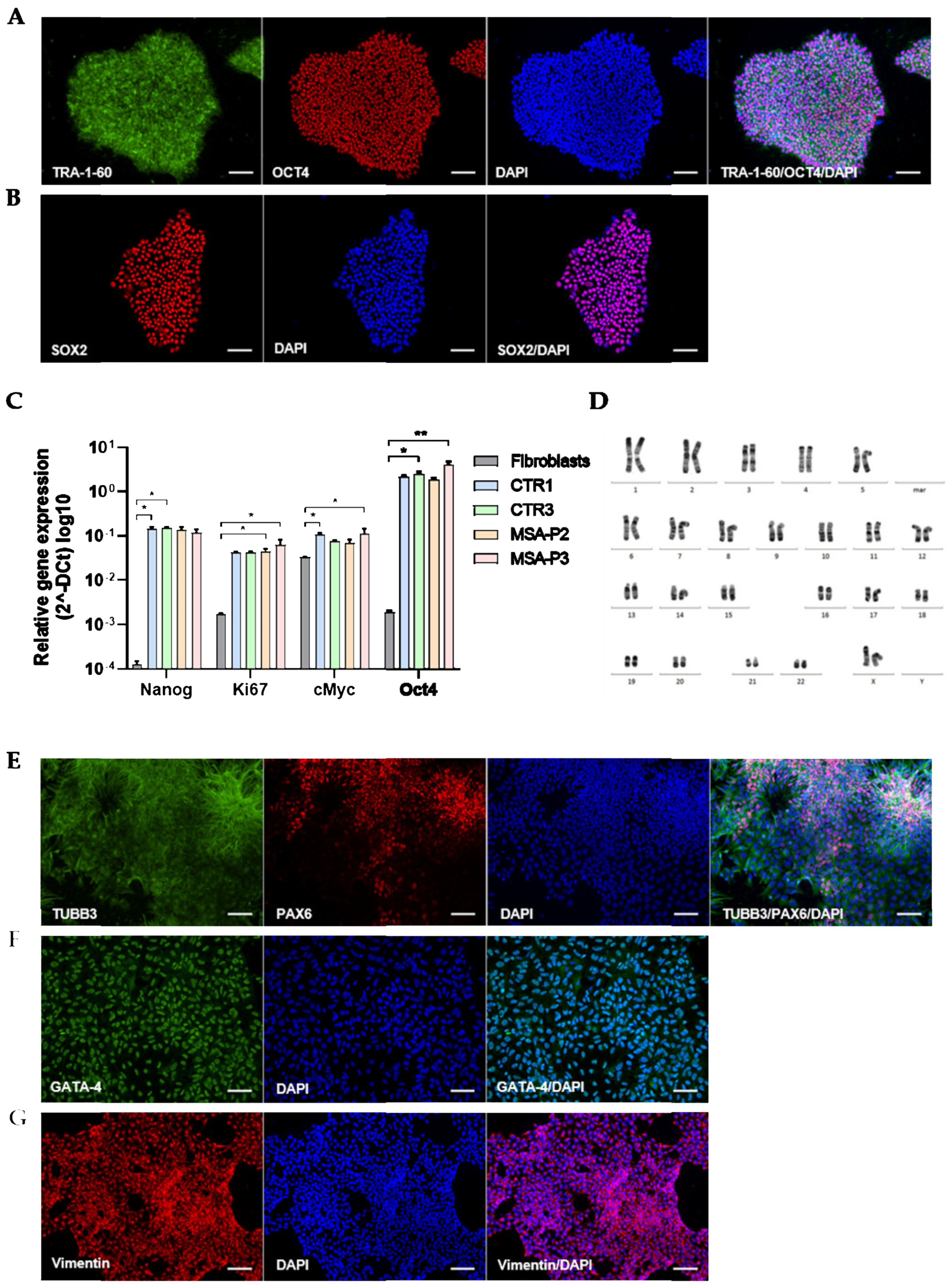 Cells 12 00223 g001 Cells 12 00223 g001