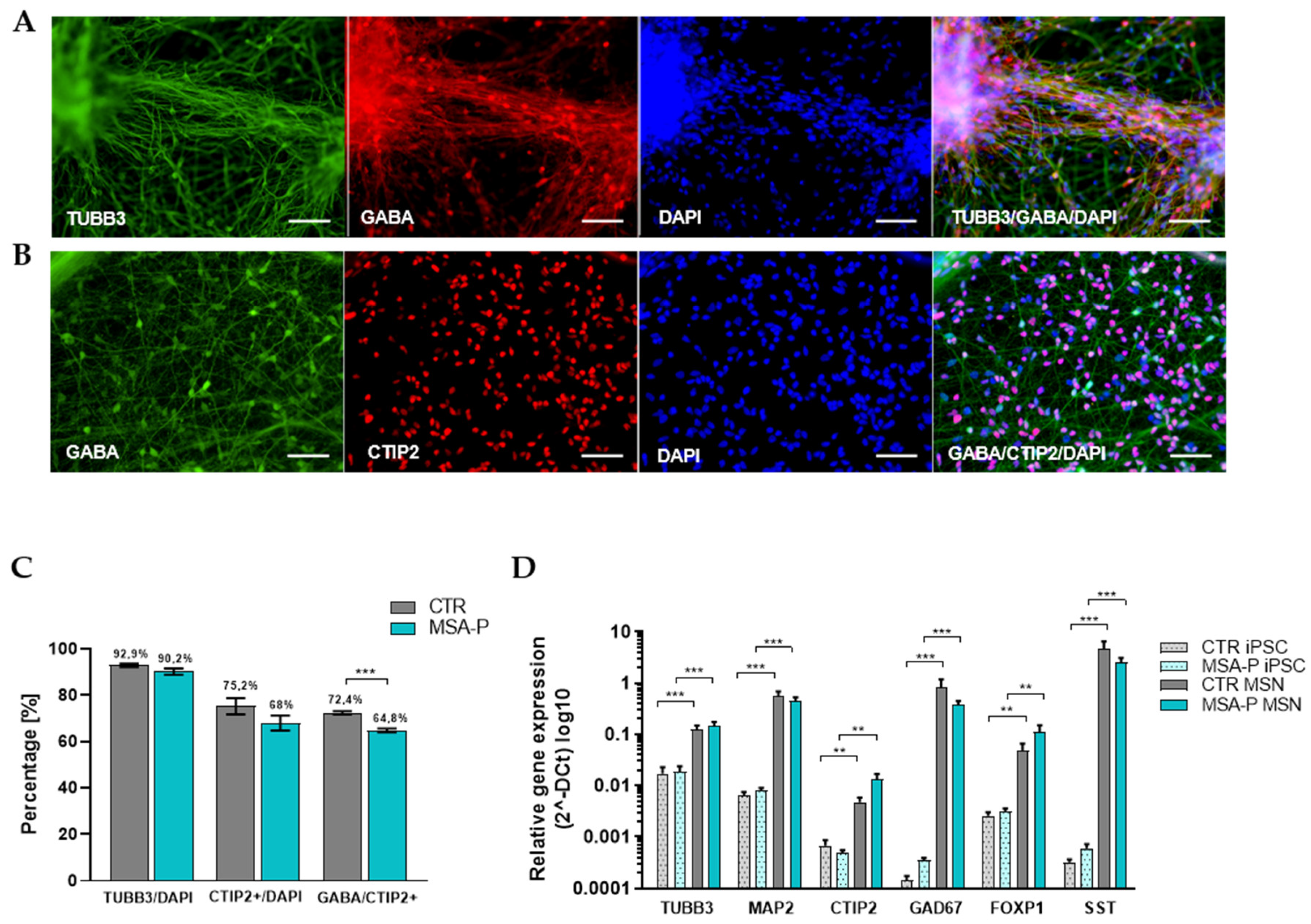 Cells 12 00223 g002 Cells 12 00223 g002