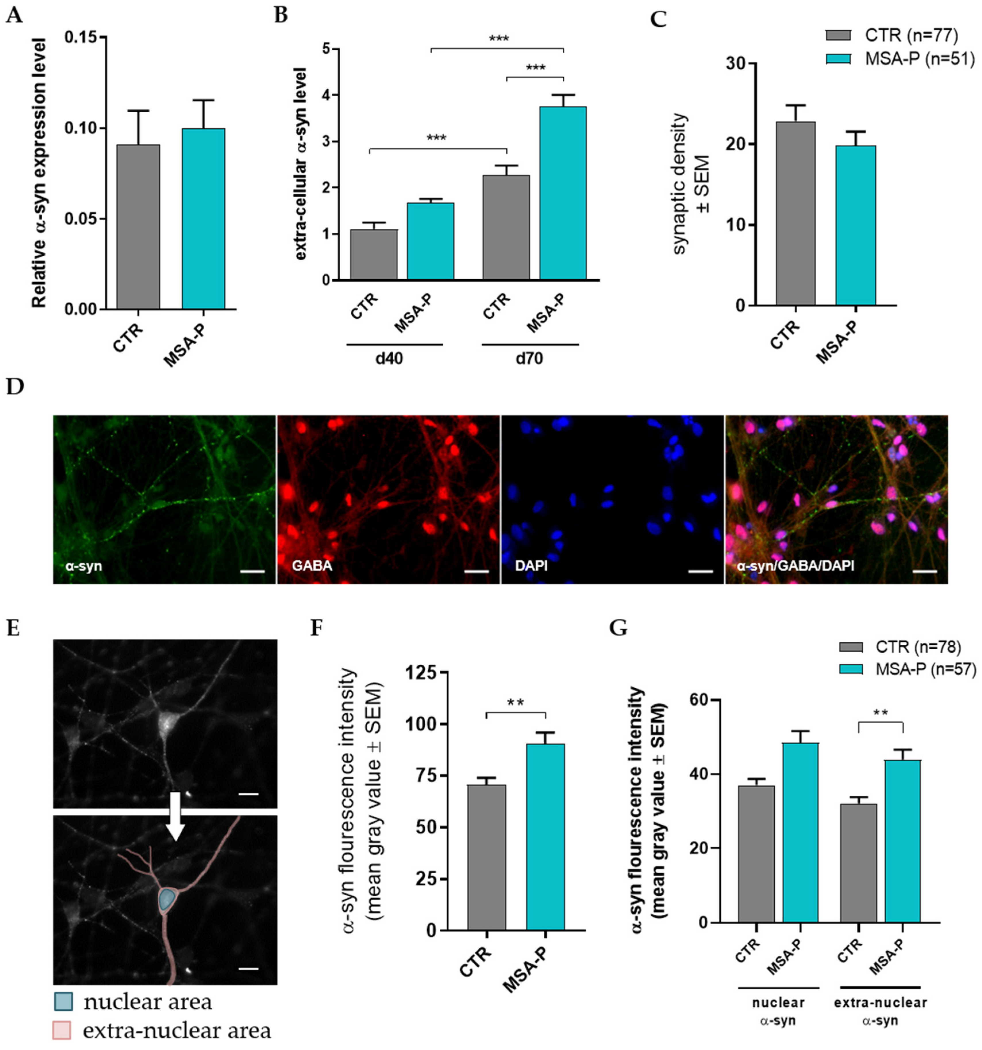 Cells 12 00223 g007 Cells 12 00223 g007
