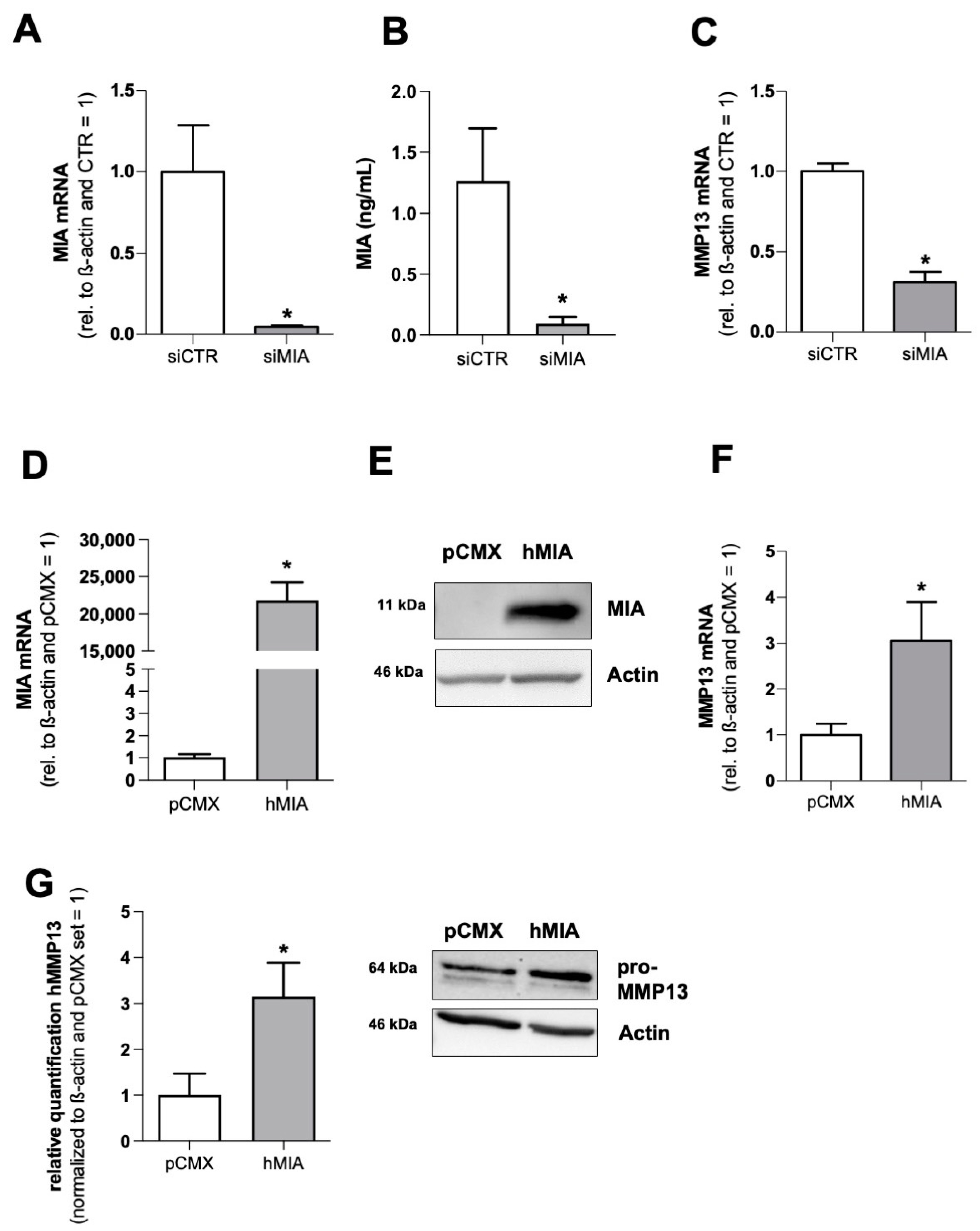 Cells 12 00229 g001 Cells 12 00229 g001