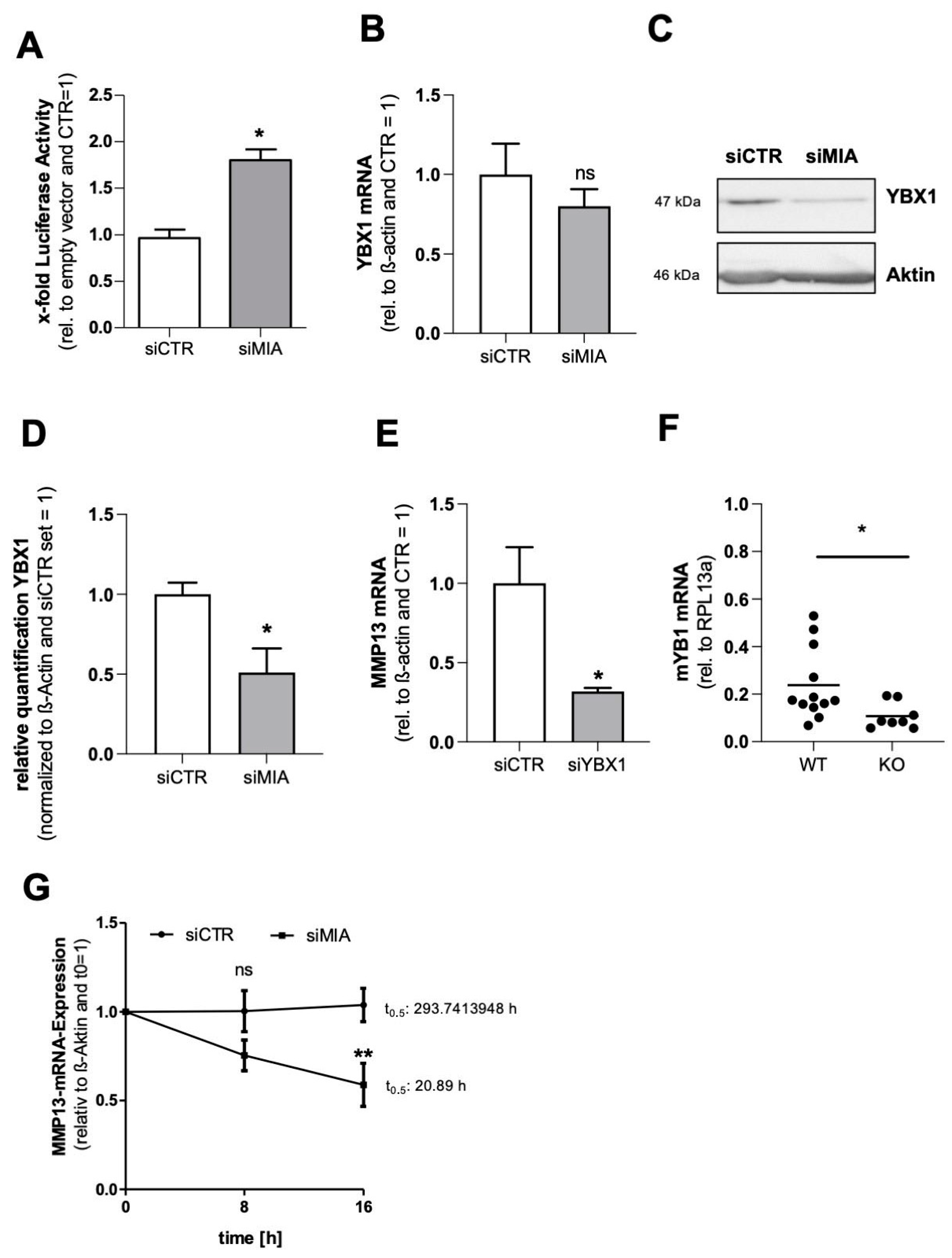 Cells 12 00229 g003 Cells 12 00229 g003