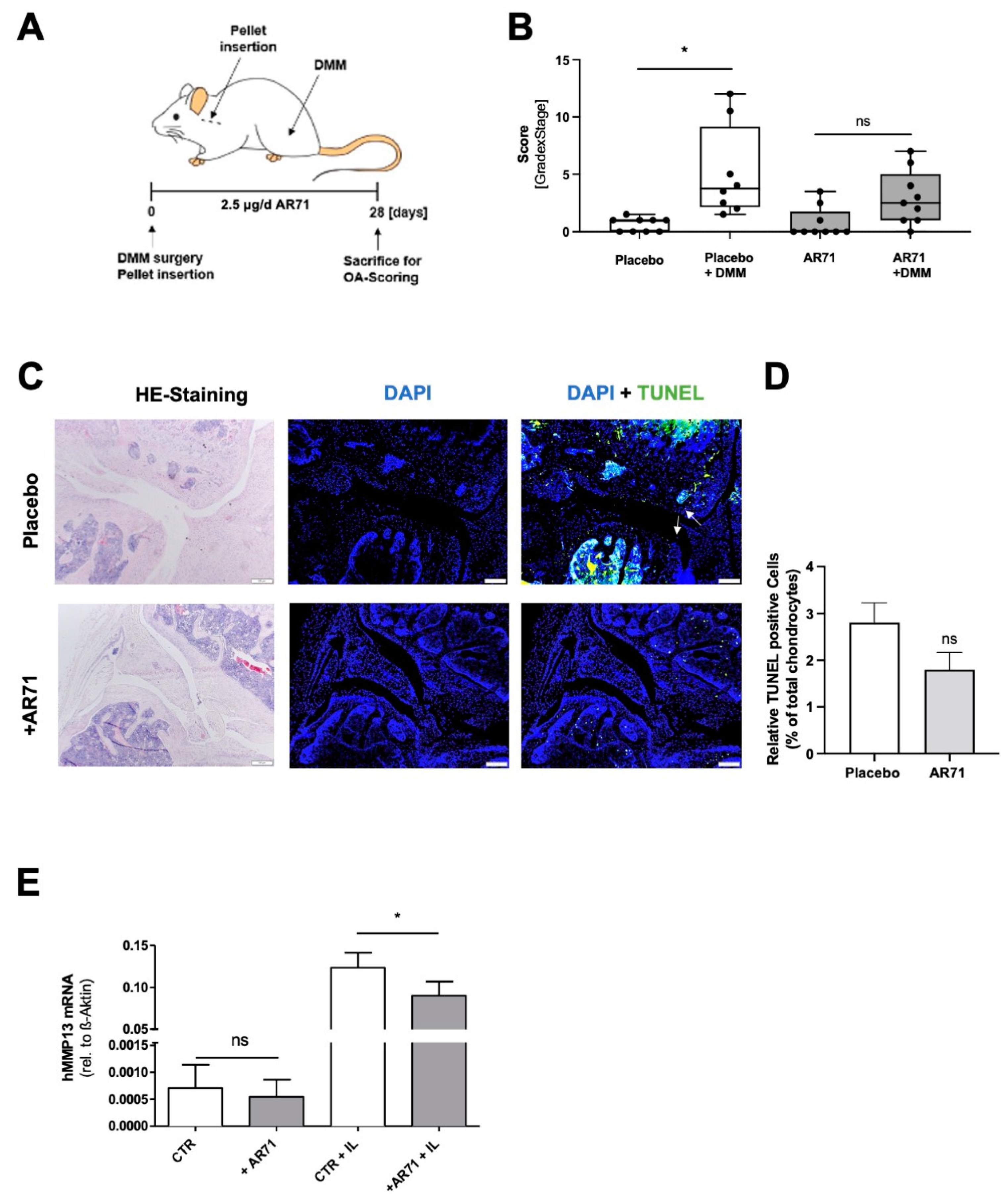 Cells 12 00229 g005 Cells 12 00229 g005