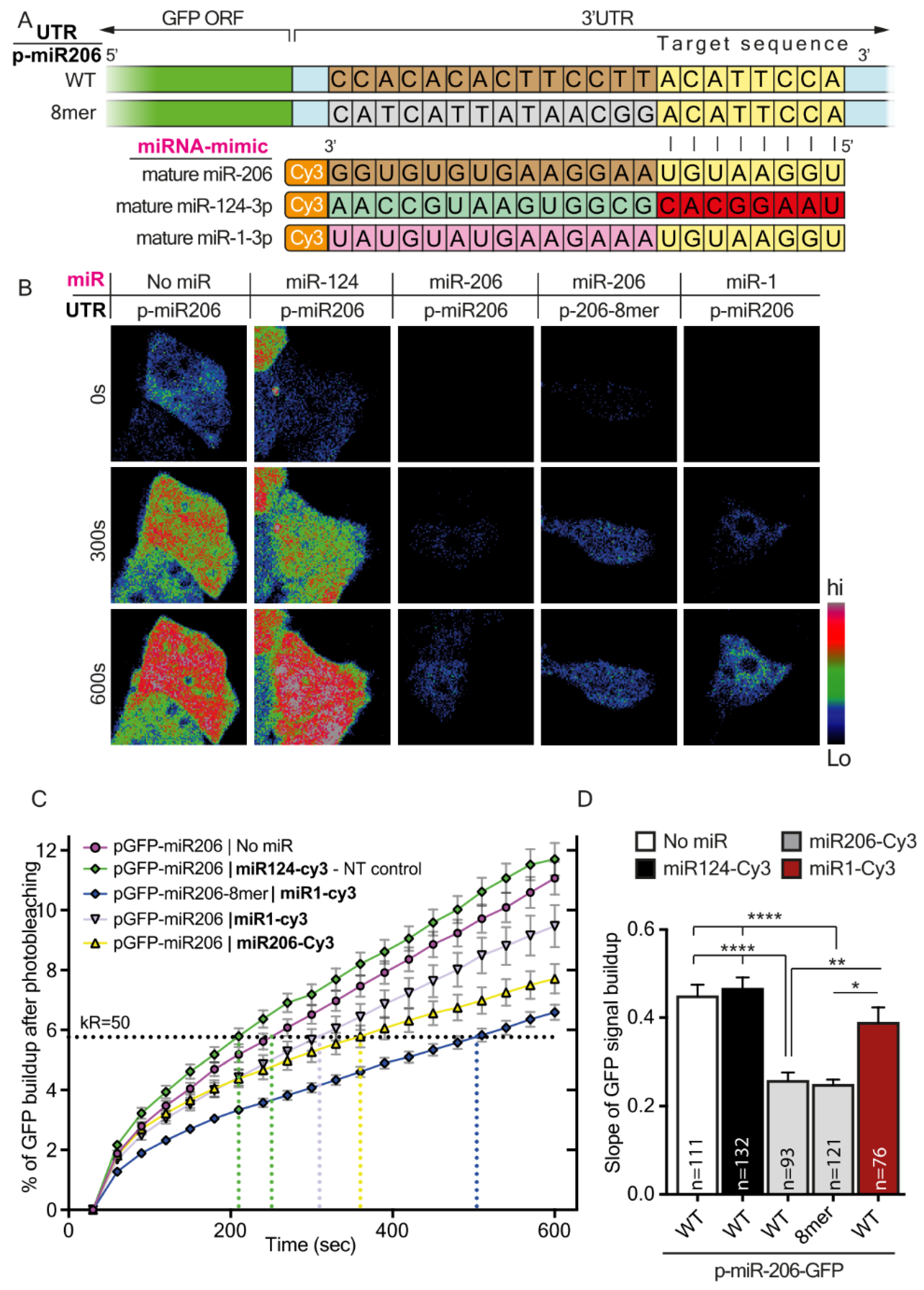 Cells 12 00233 g002 Cells 12 00233 g002