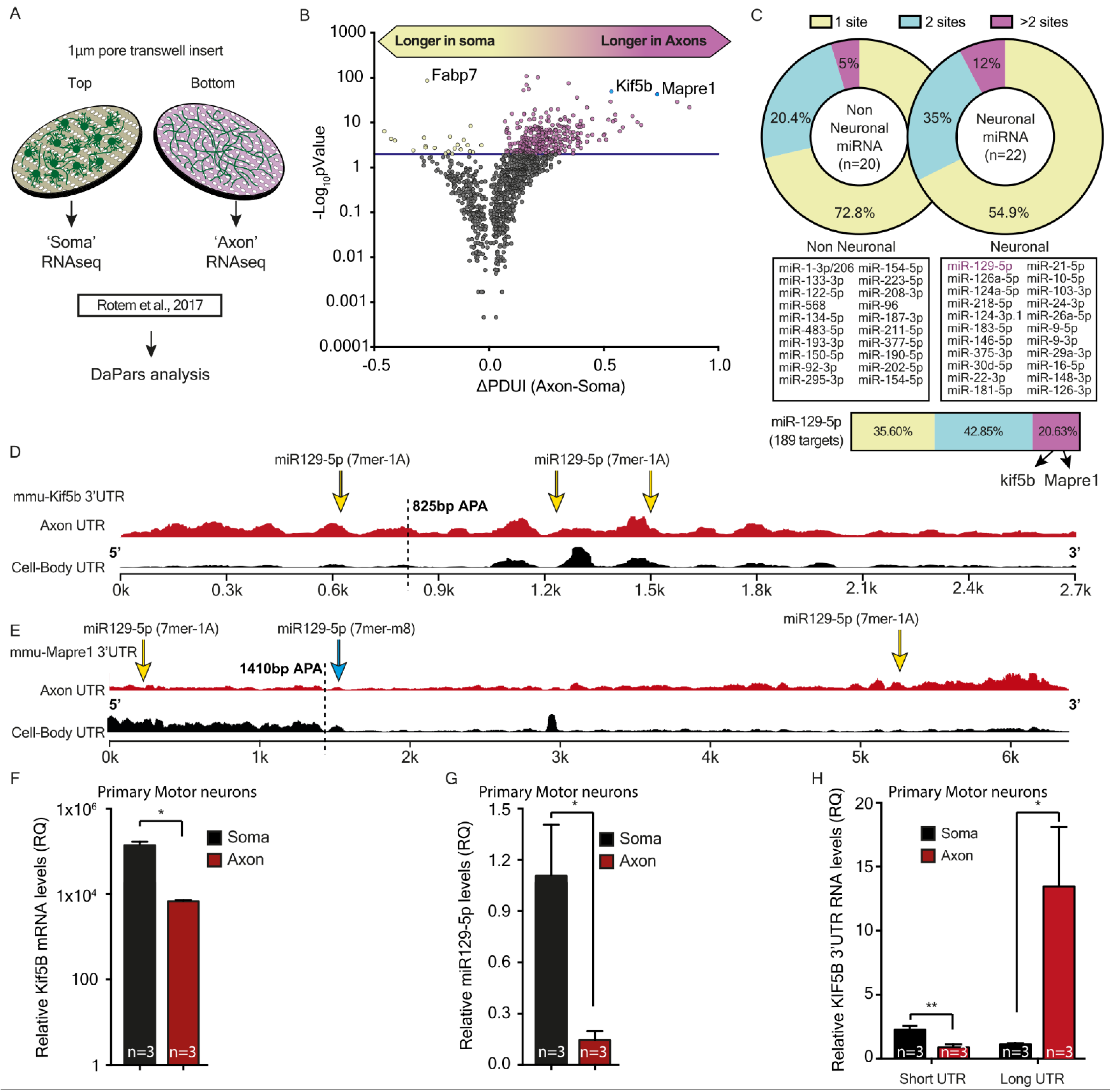 Cells 12 00233 g004 Cells 12 00233 g004