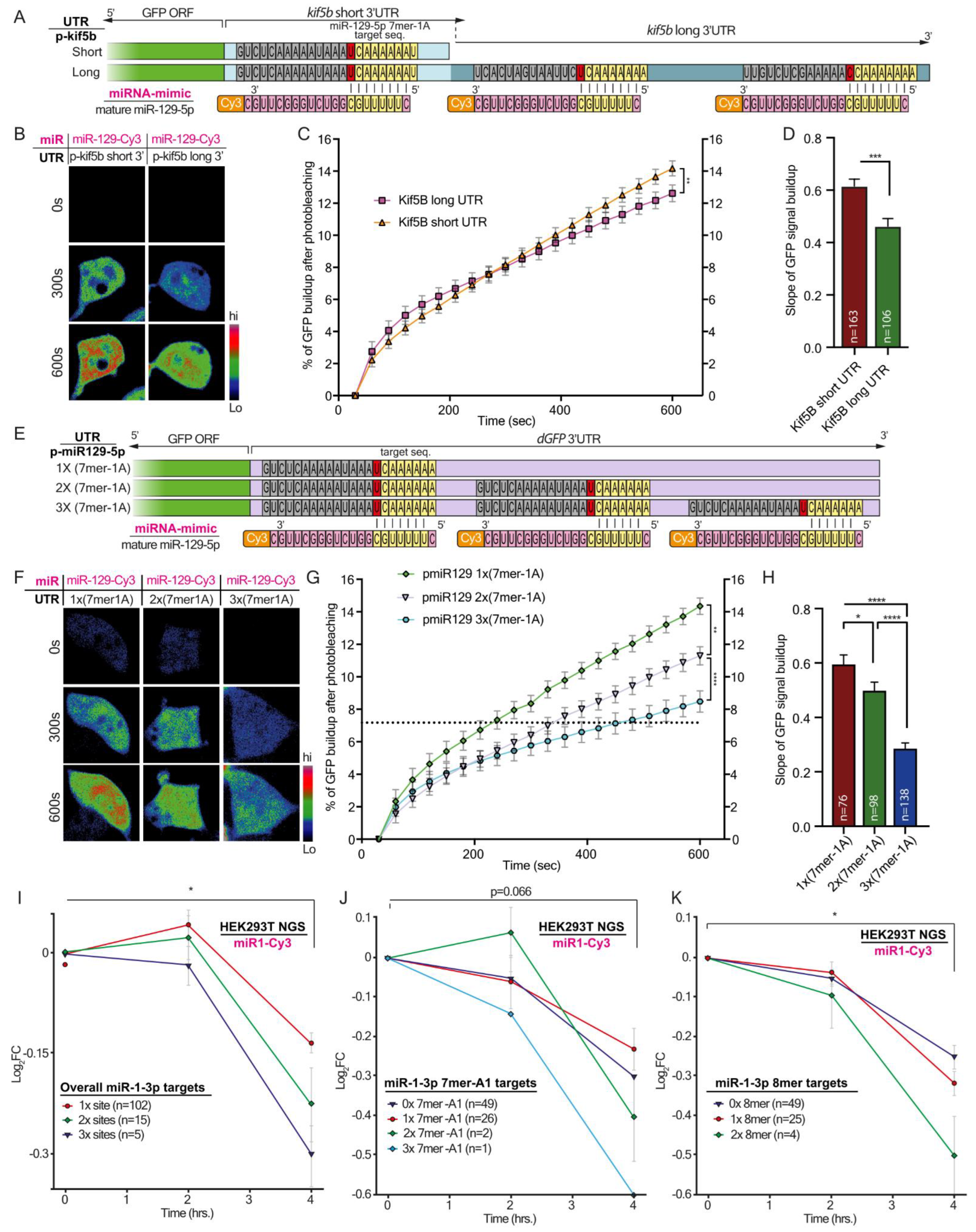 Cells 12 00233 g006 Cells 12 00233 g006