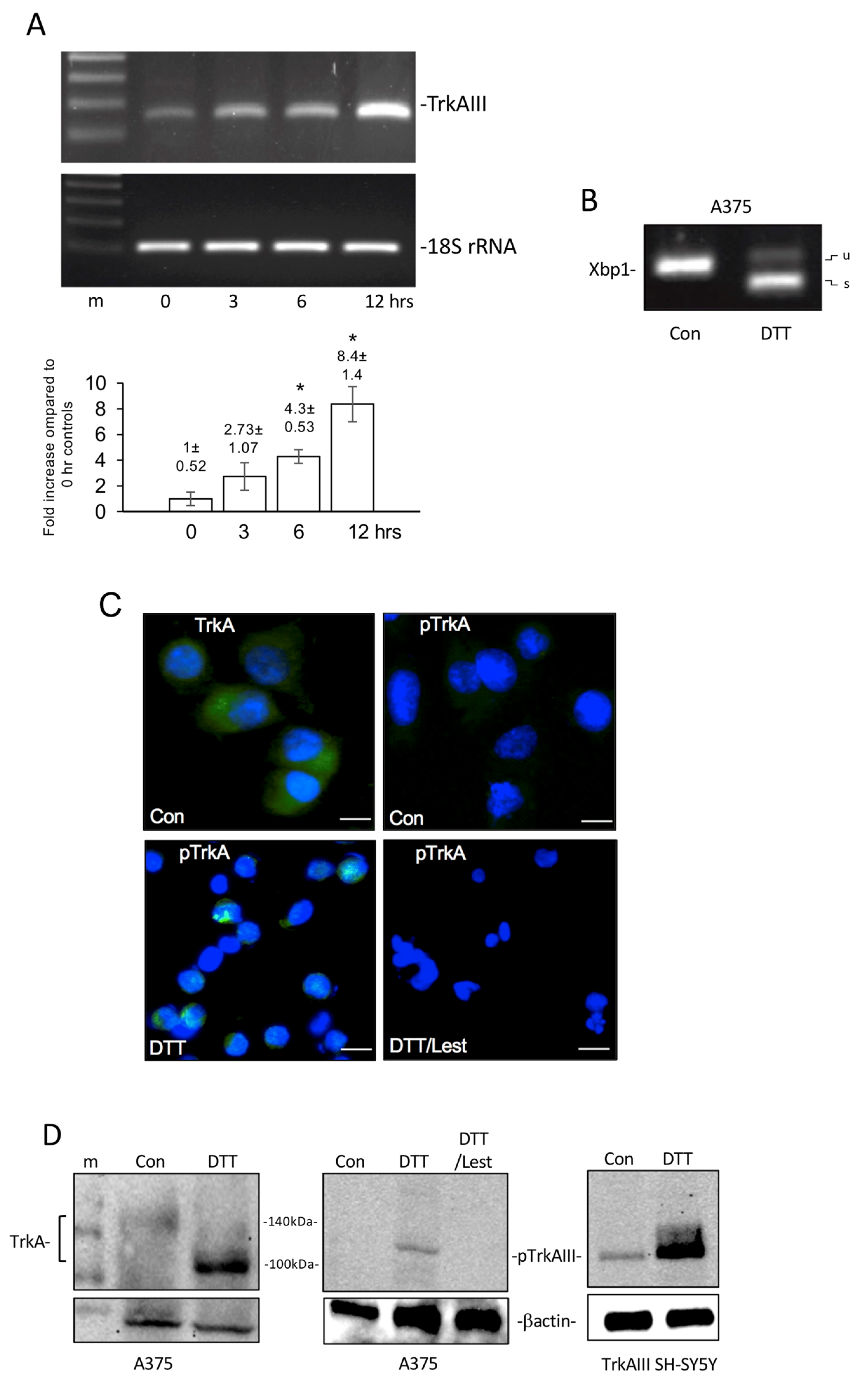 Cells 12 00237 g004 Cells 12 00237 g004