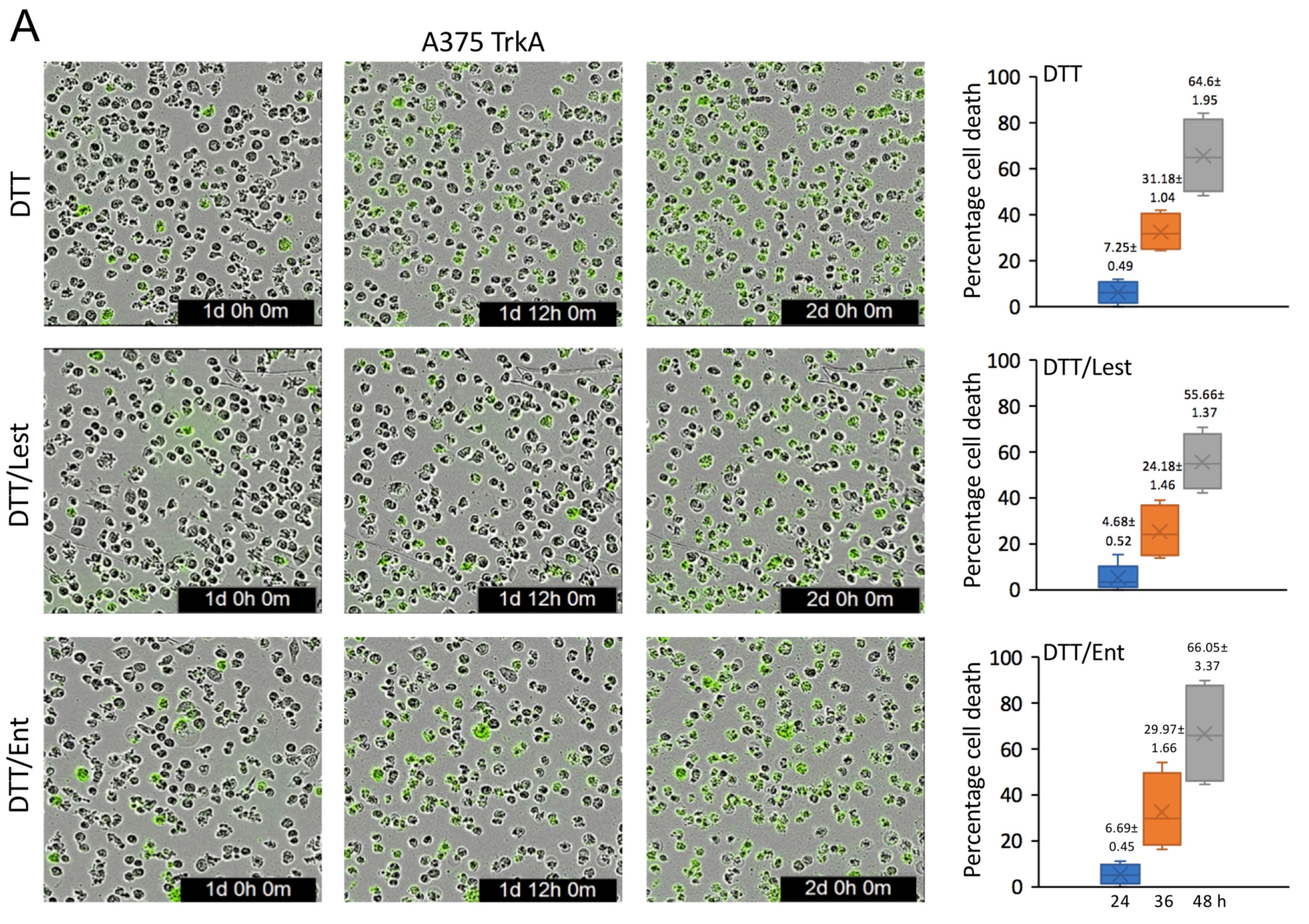 Cells 12 00237 g006a Cells 12 00237 g006a