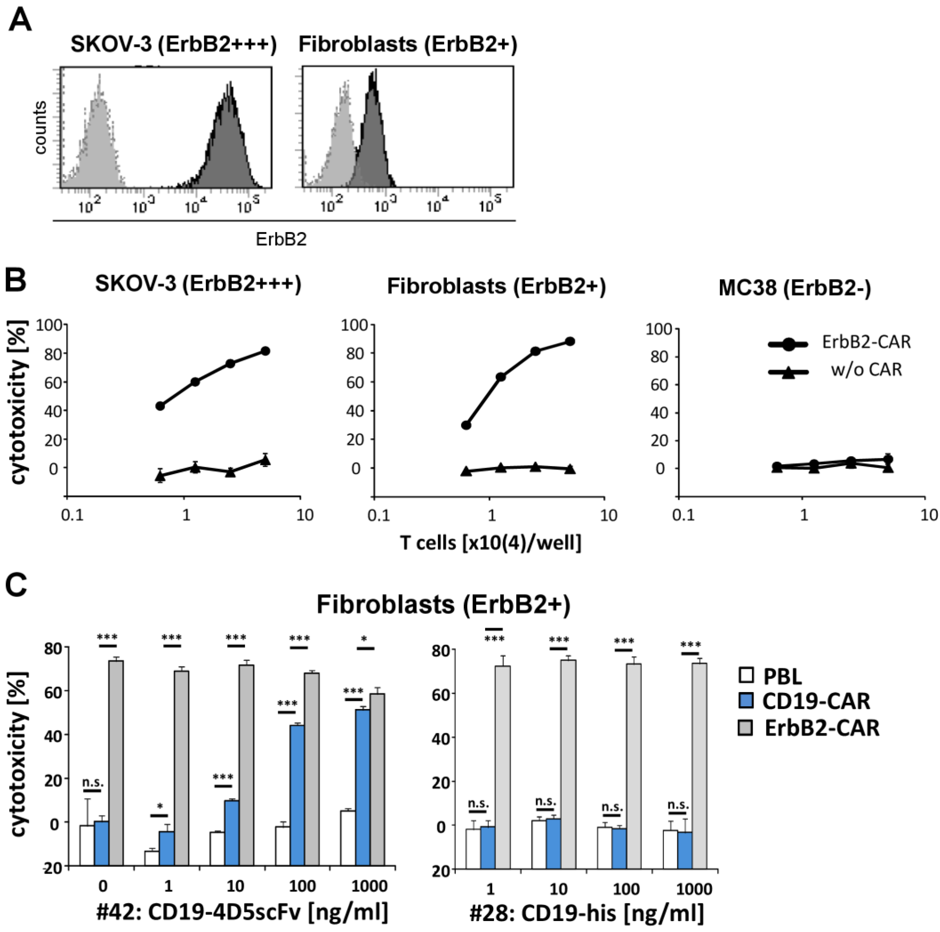 Cells 12 00248 g004 Cells 12 00248 g004