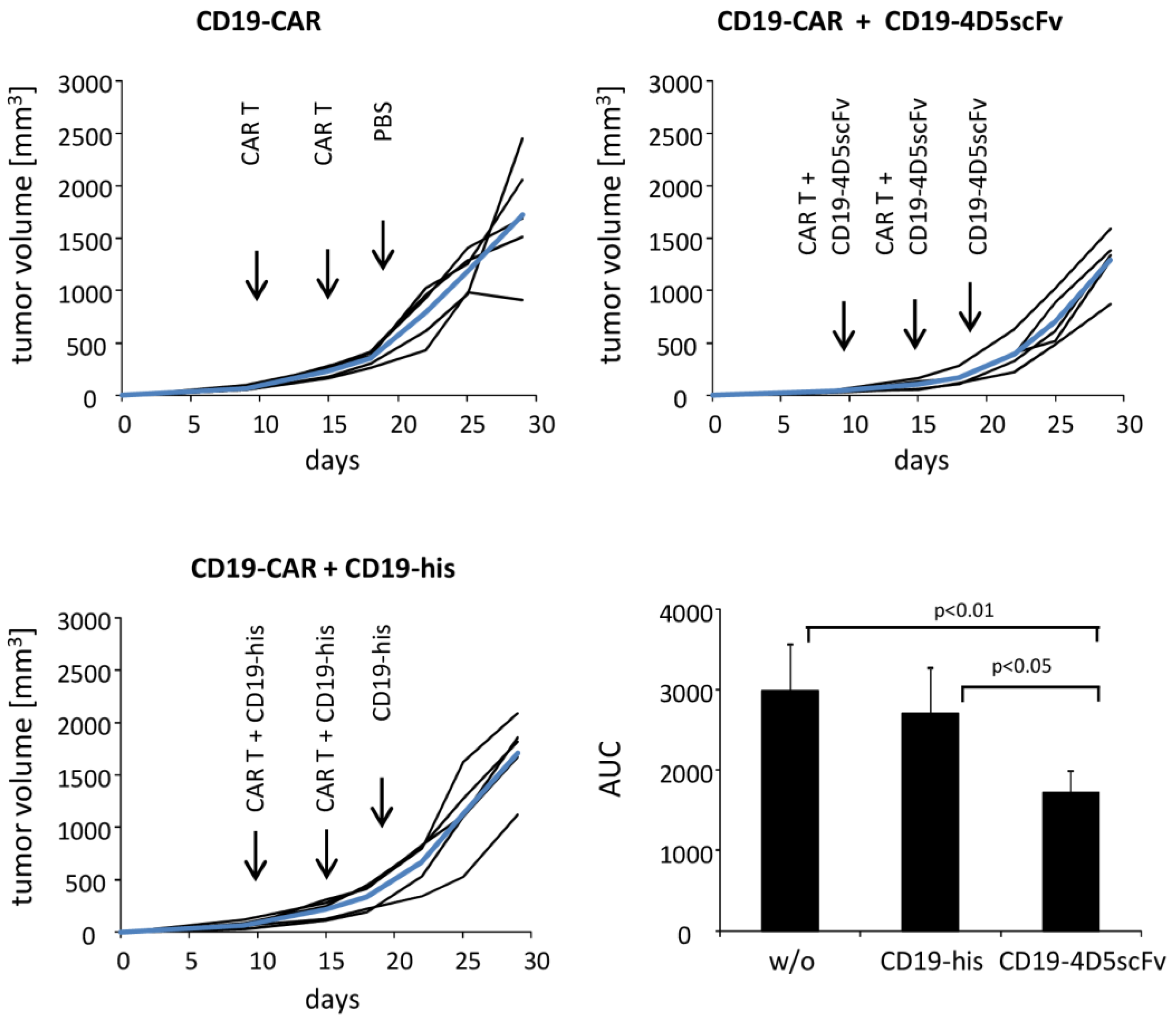 Cells 12 00248 g005 Cells 12 00248 g005