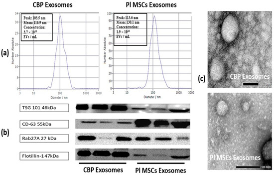 Cord Blood Plasma and Placental Mesenchymal Stem Cells