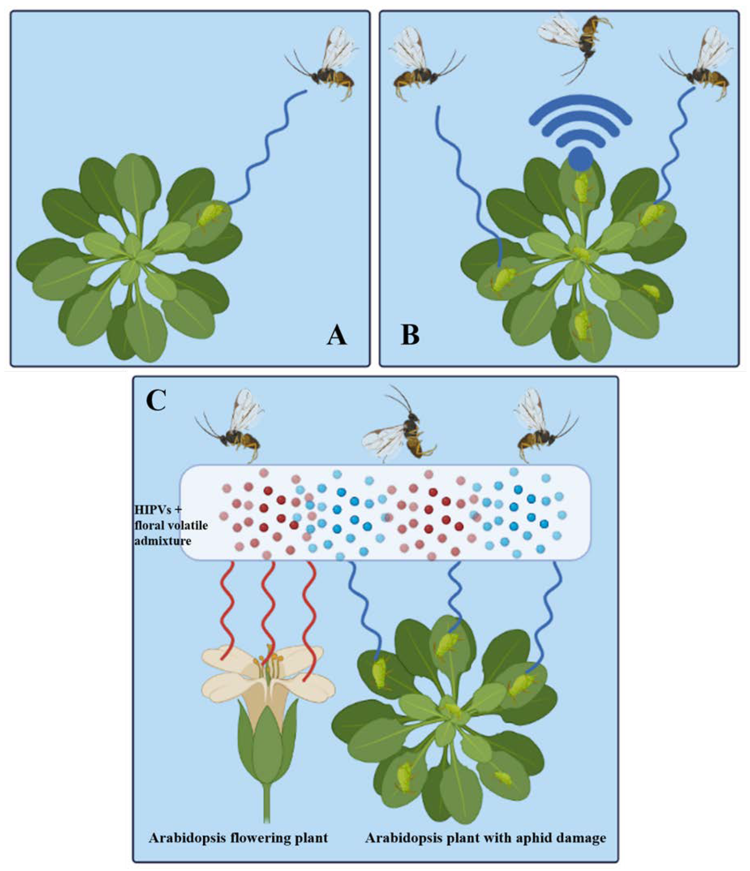 Cells 12 00251 g006 Cells 12 00251 g006