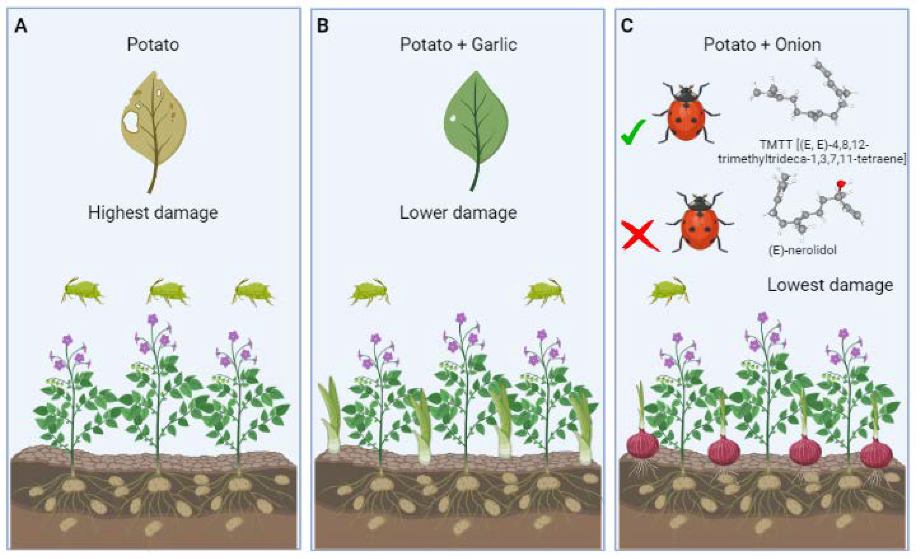 Cells 12 00251 g008 Cells 12 00251 g008