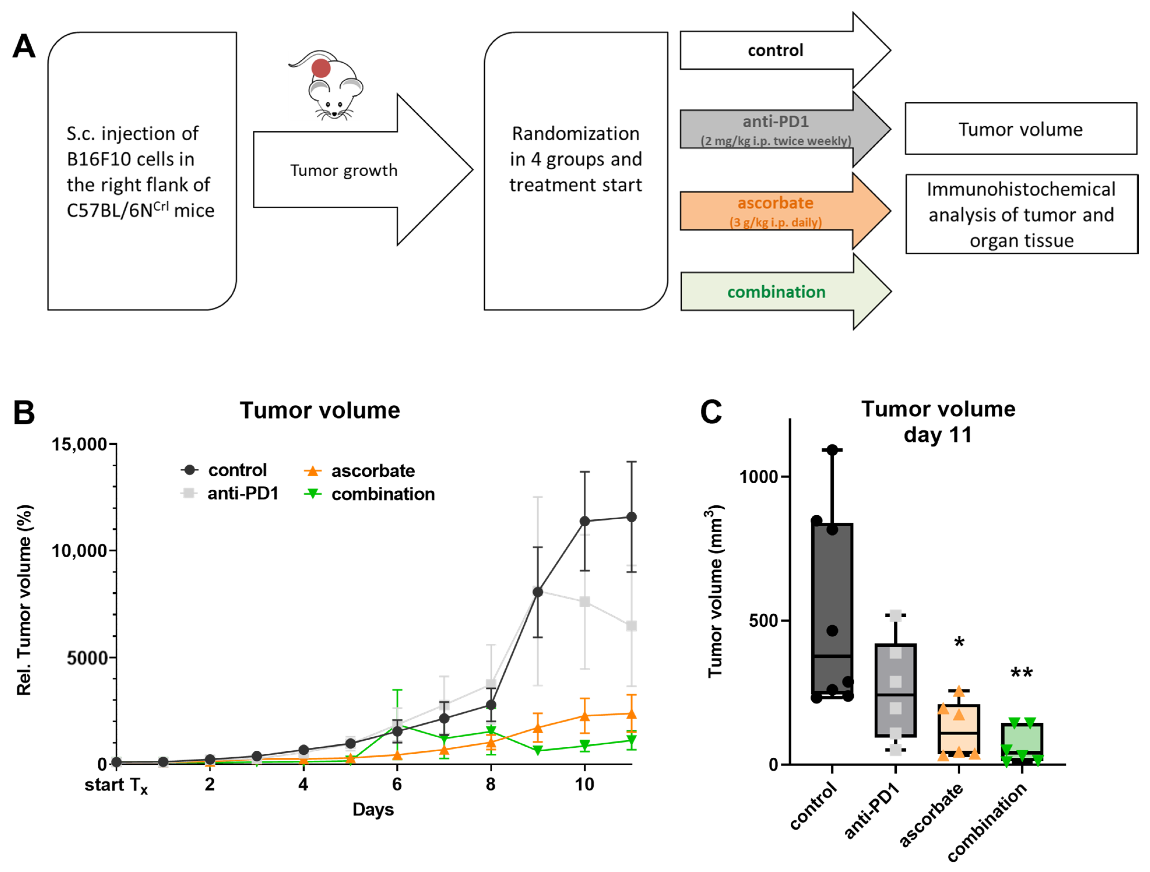 Cells 12 00254 g004 Cells 12 00254 g004