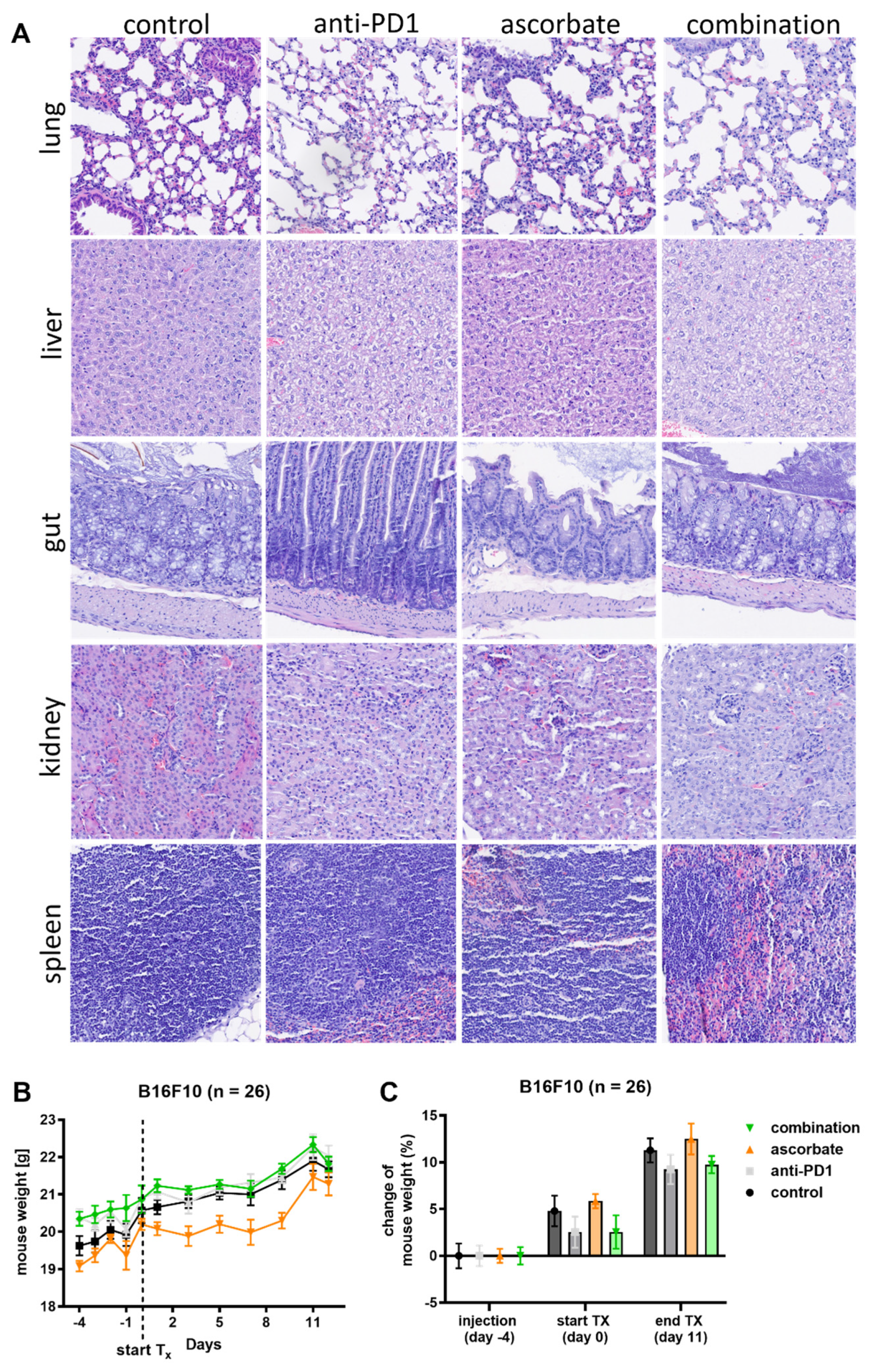 Cells 12 00254 g005a Cells 12 00254 g005a