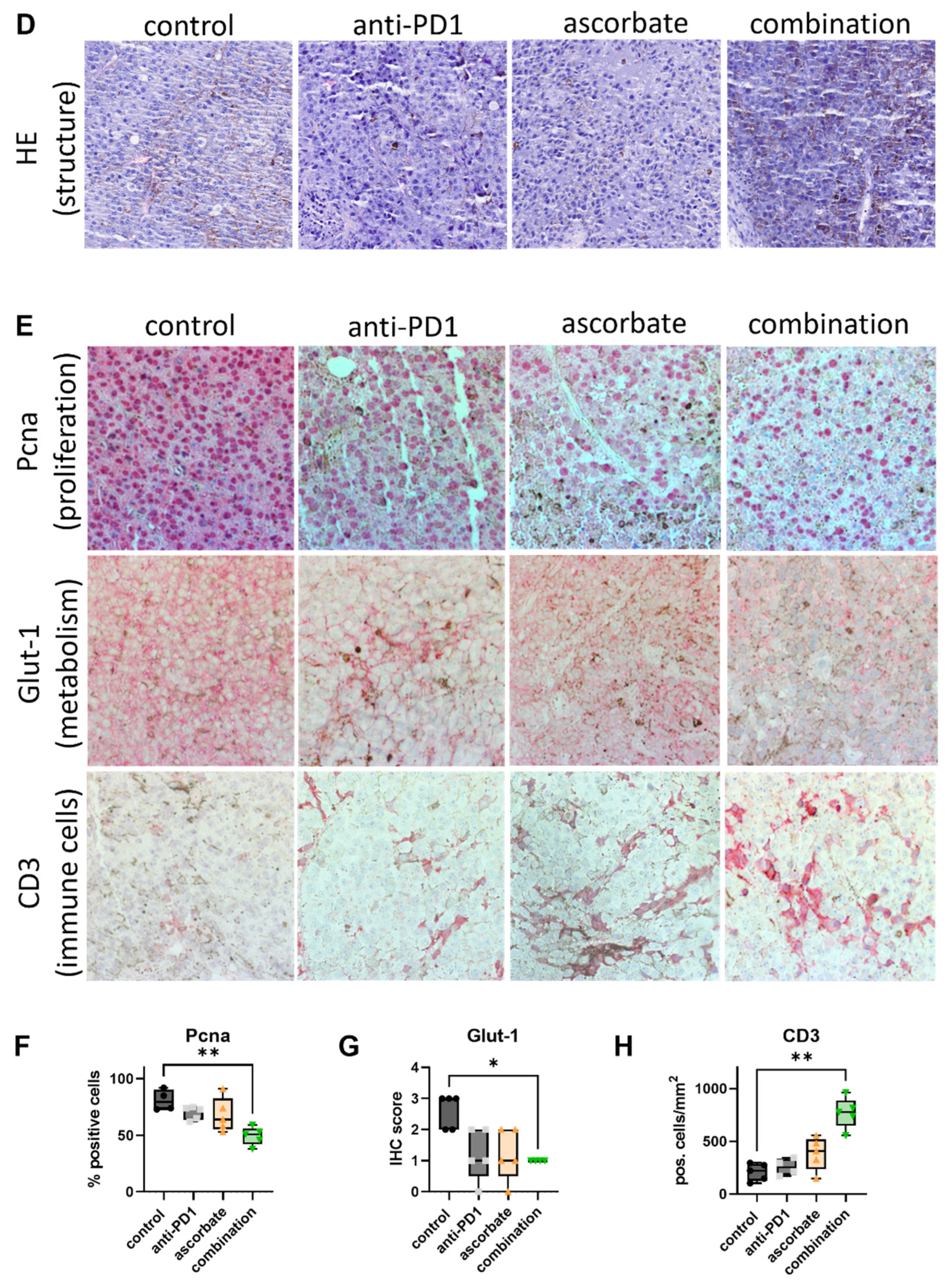 Cells 12 00254 g005b Cells 12 00254 g005b