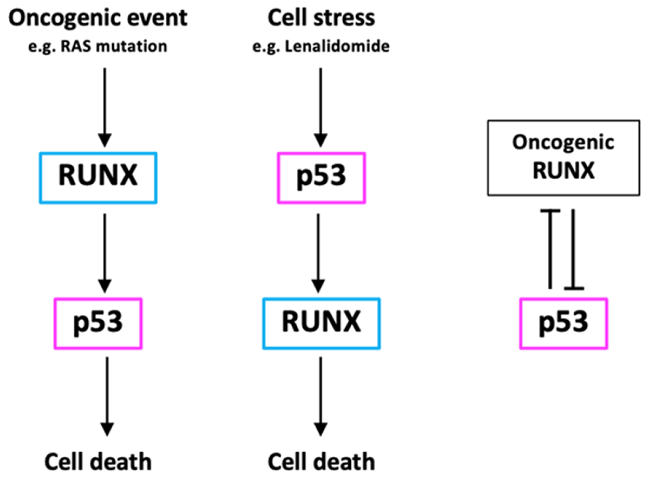 Cells 12 00255 g002 Cells 12 00255 g002
