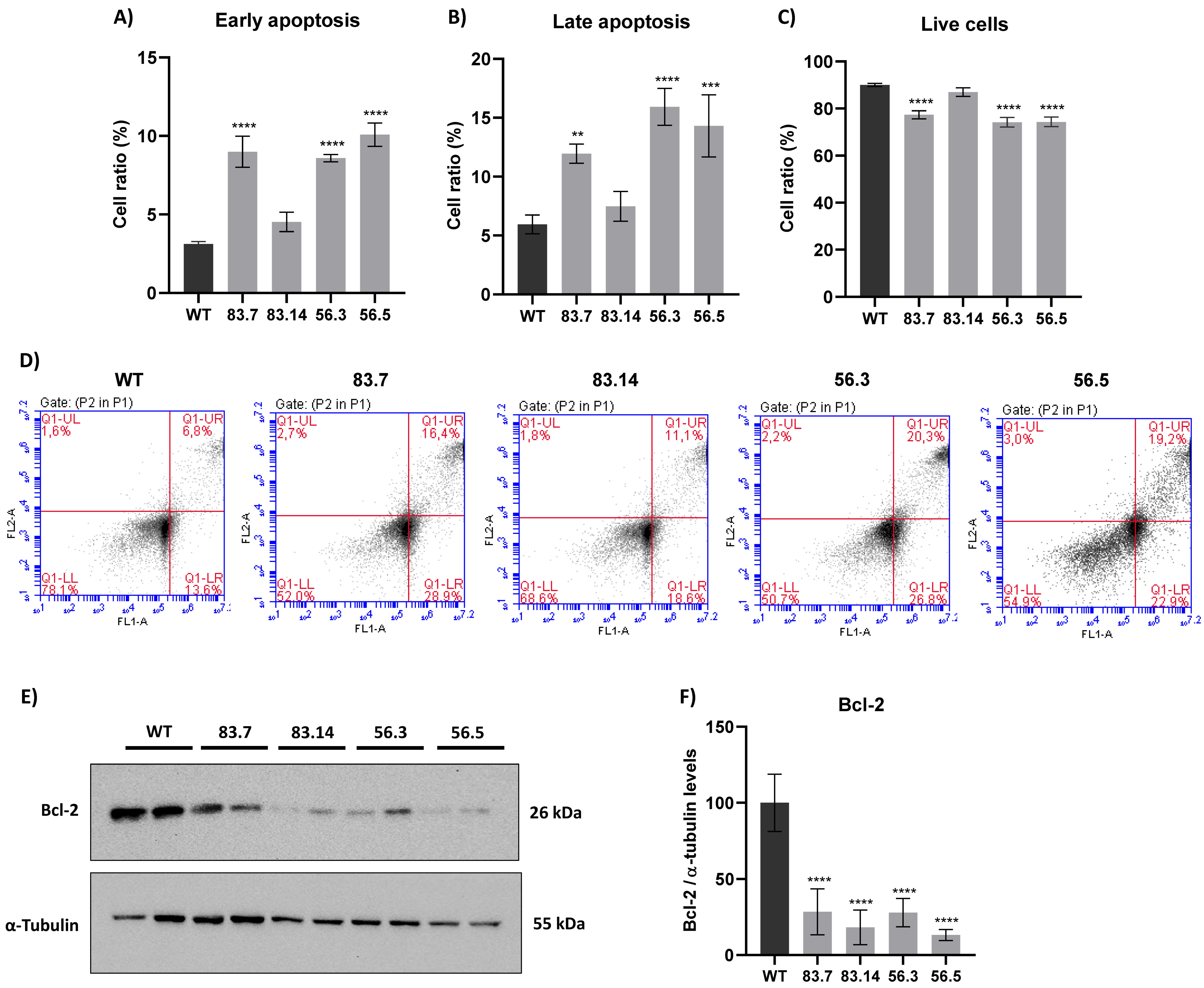 Cells 12 00256 g005 Cells 12 00256 g005