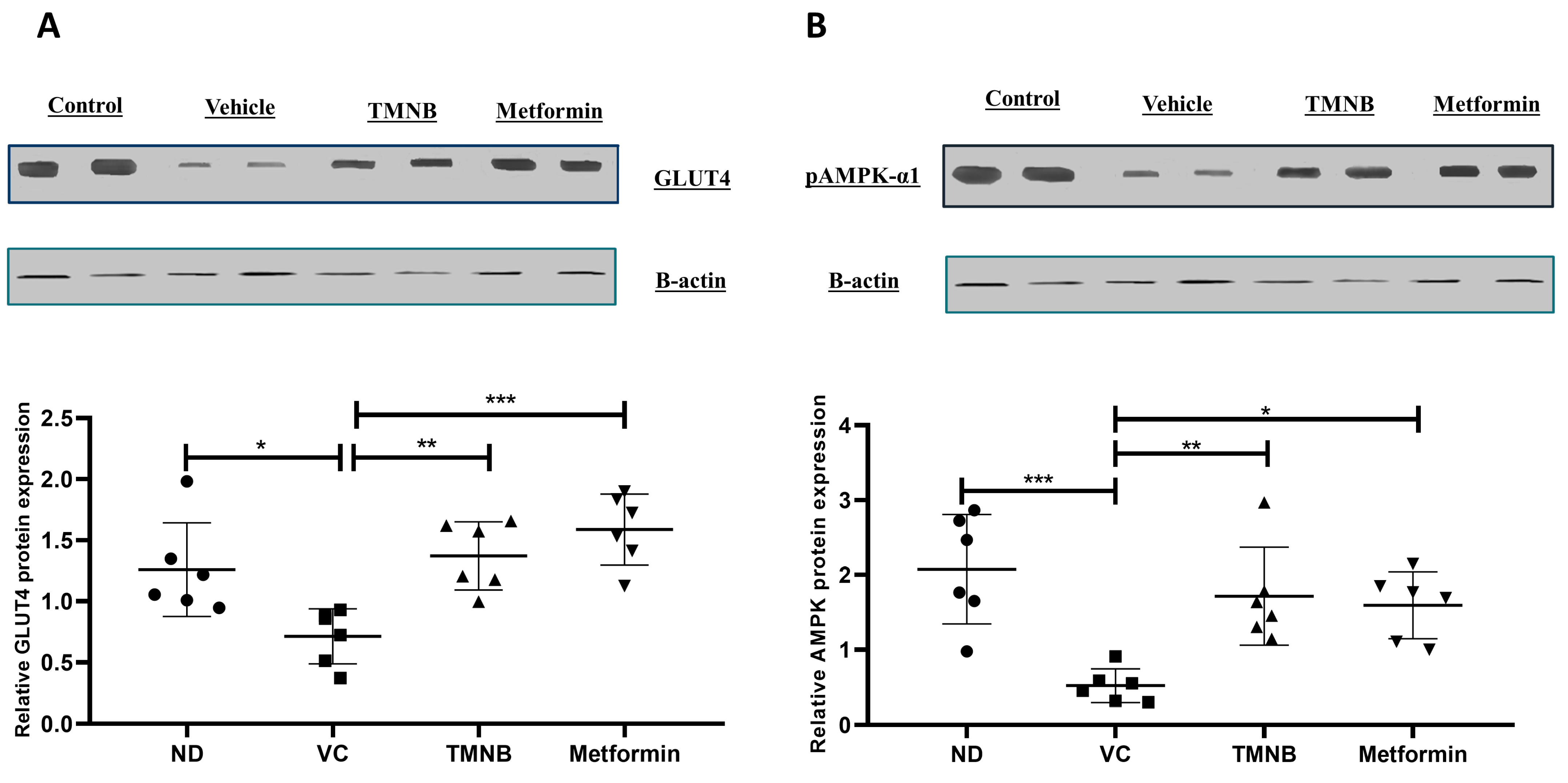 Cells 12 00267 g004 Cells 12 00267 g004