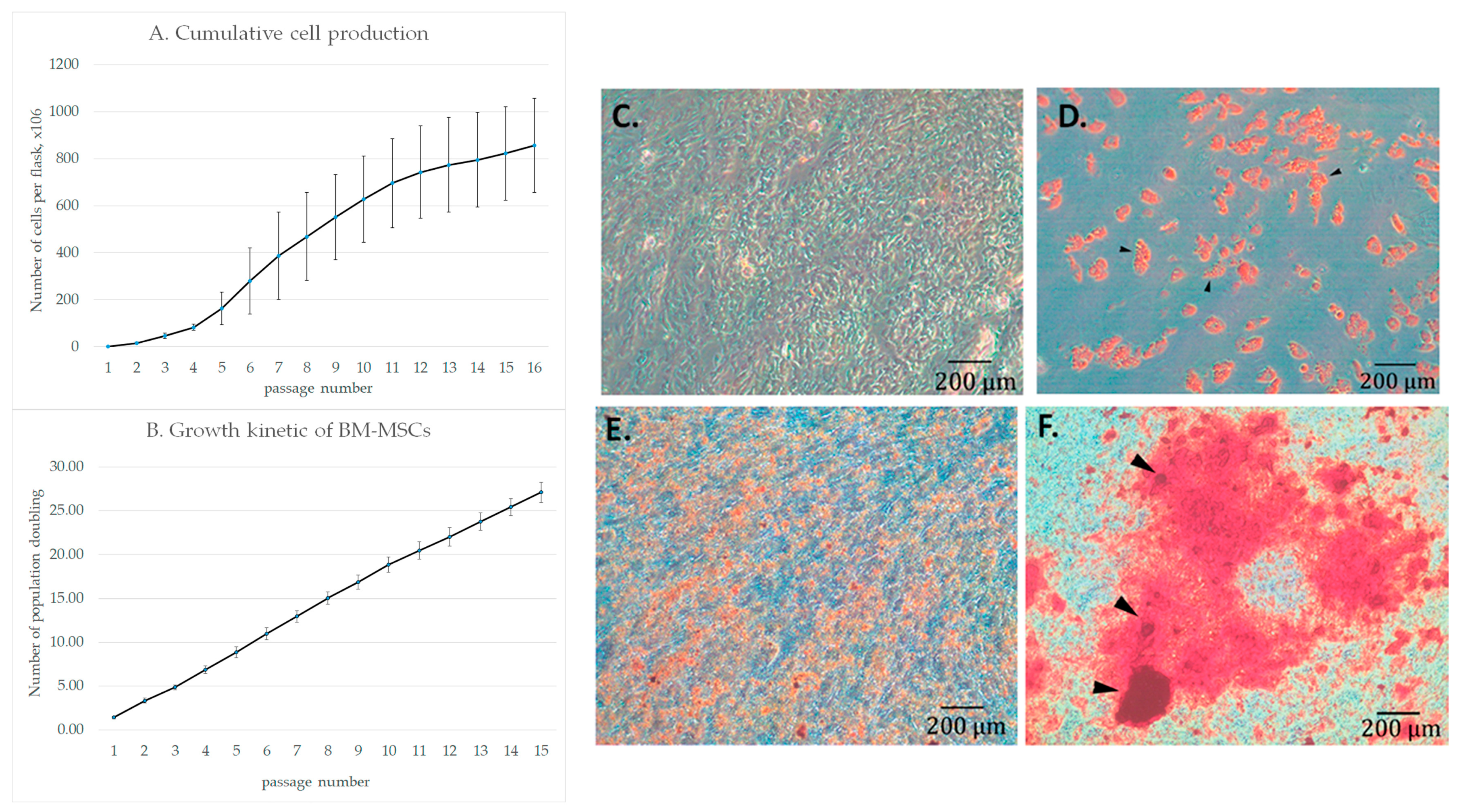 Cells 12 00268 g001 Cells 12 00268 g001