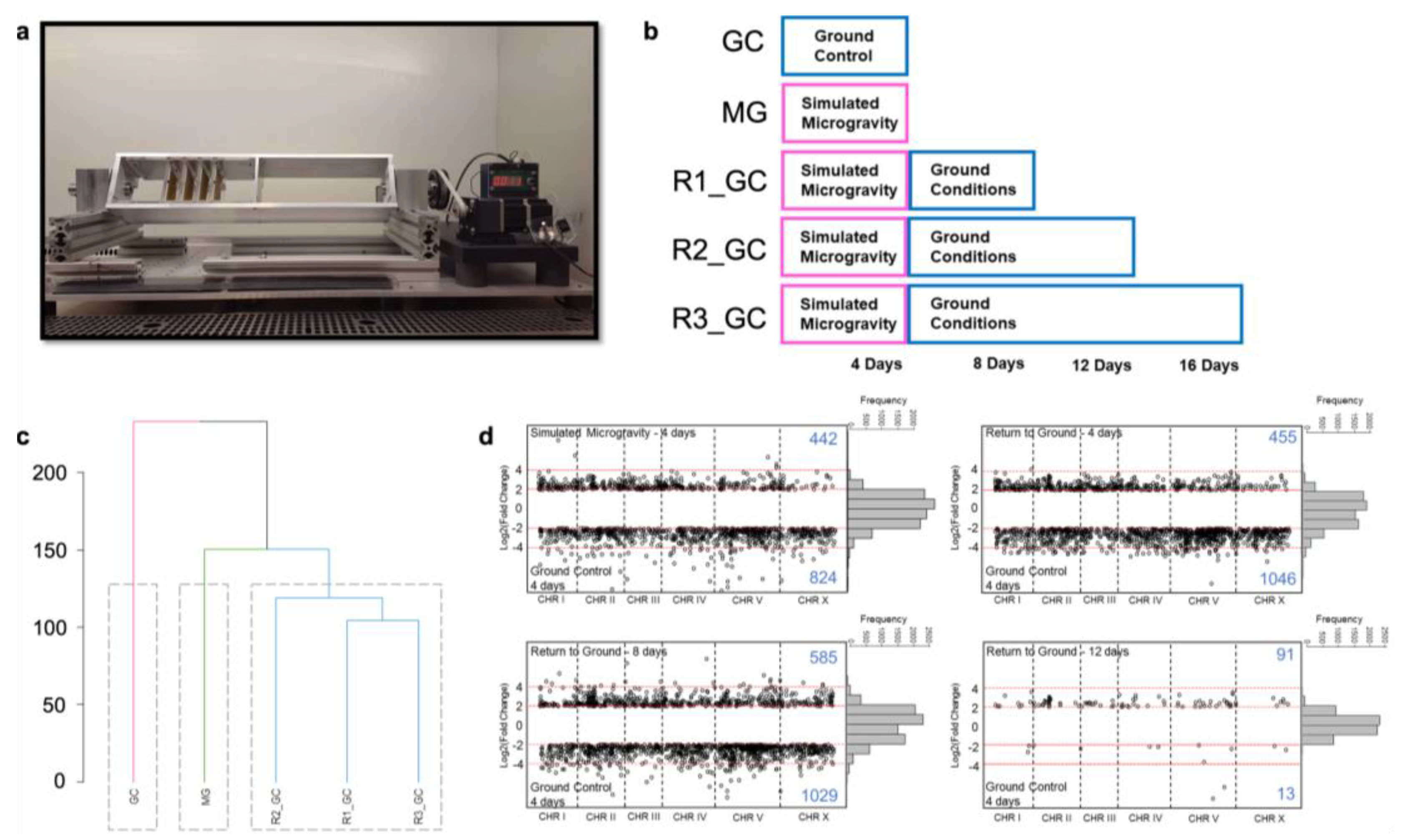 Cells 12 00270 g001 Cells 12 00270 g001