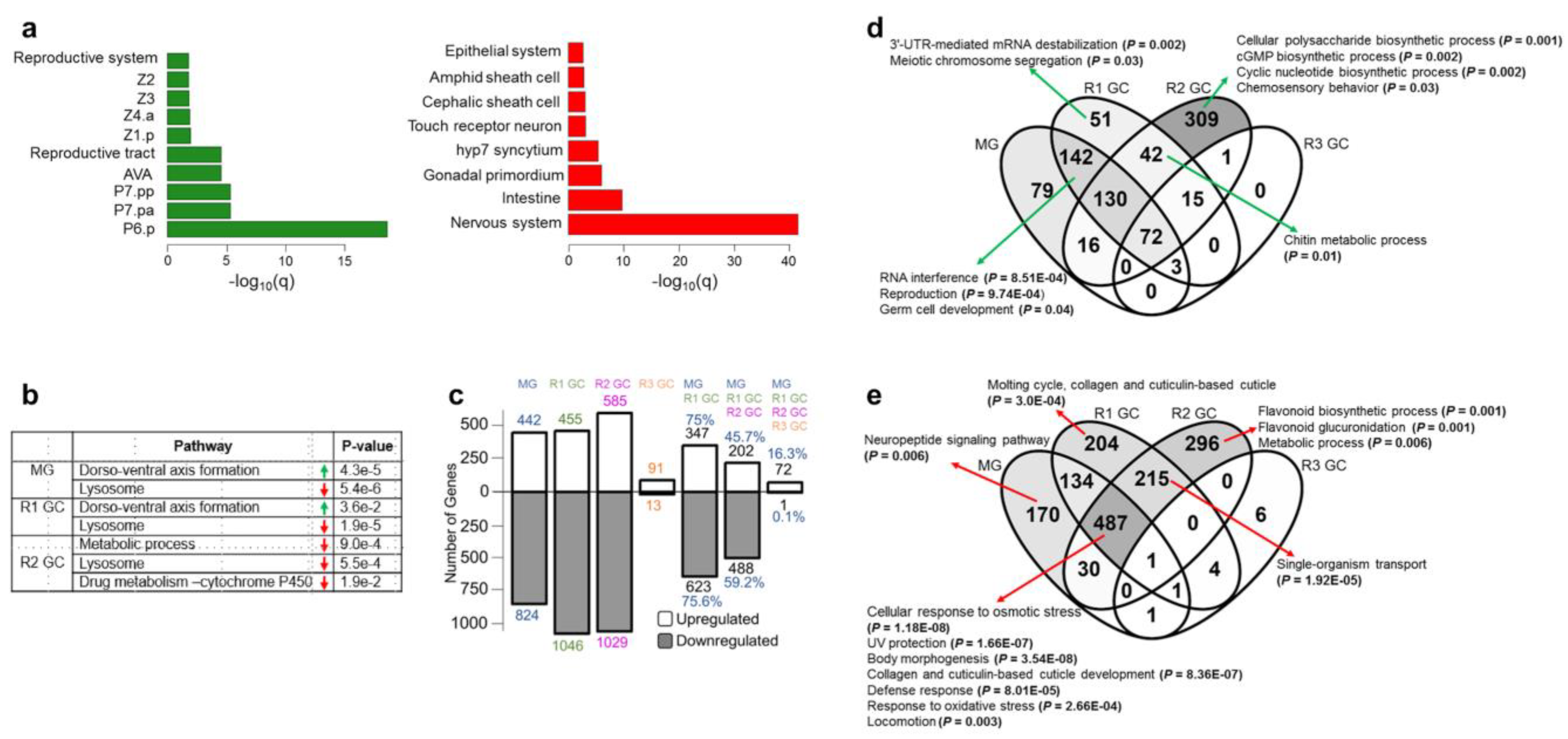 Cells 12 00270 g002 Cells 12 00270 g002