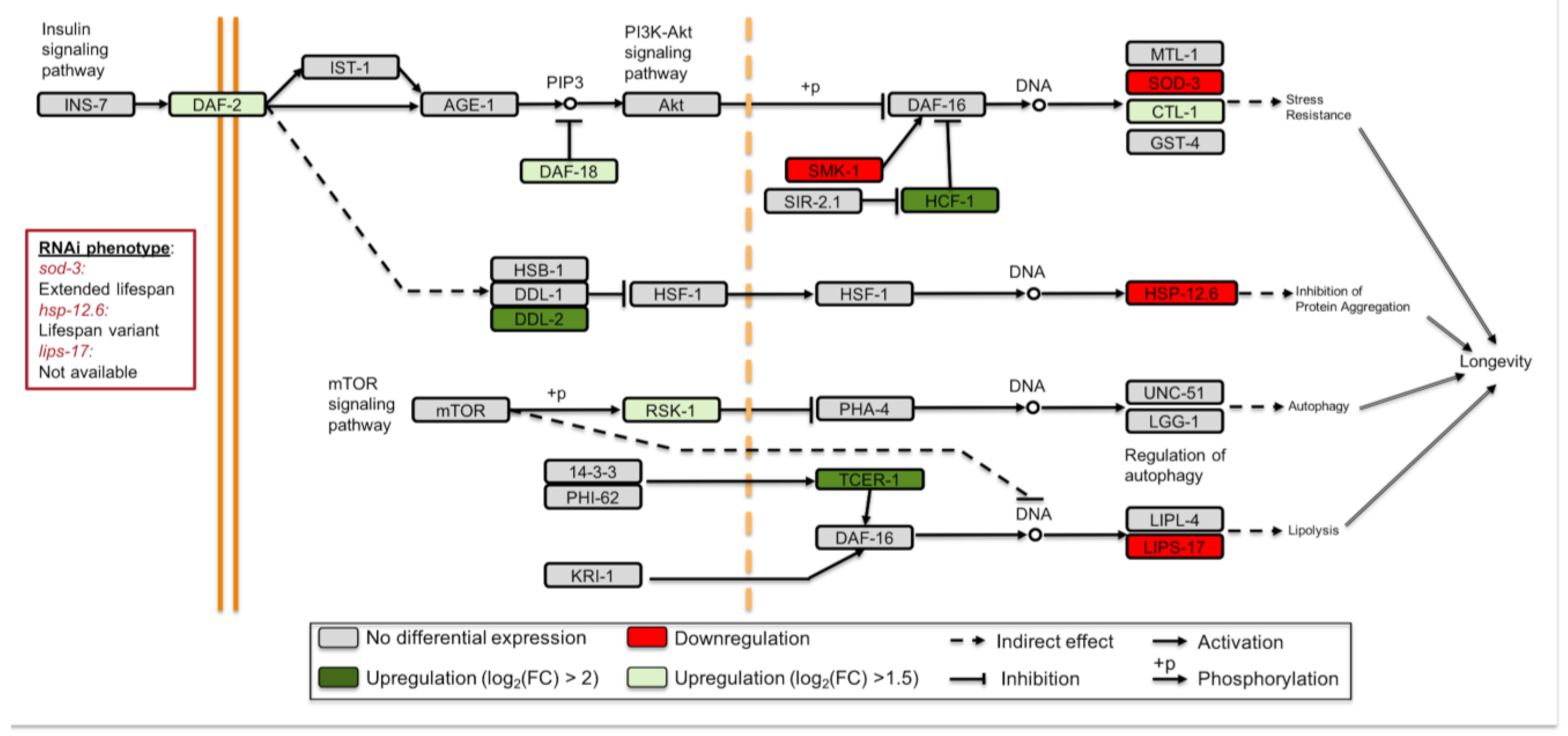 Cells 12 00270 g003 Cells 12 00270 g003