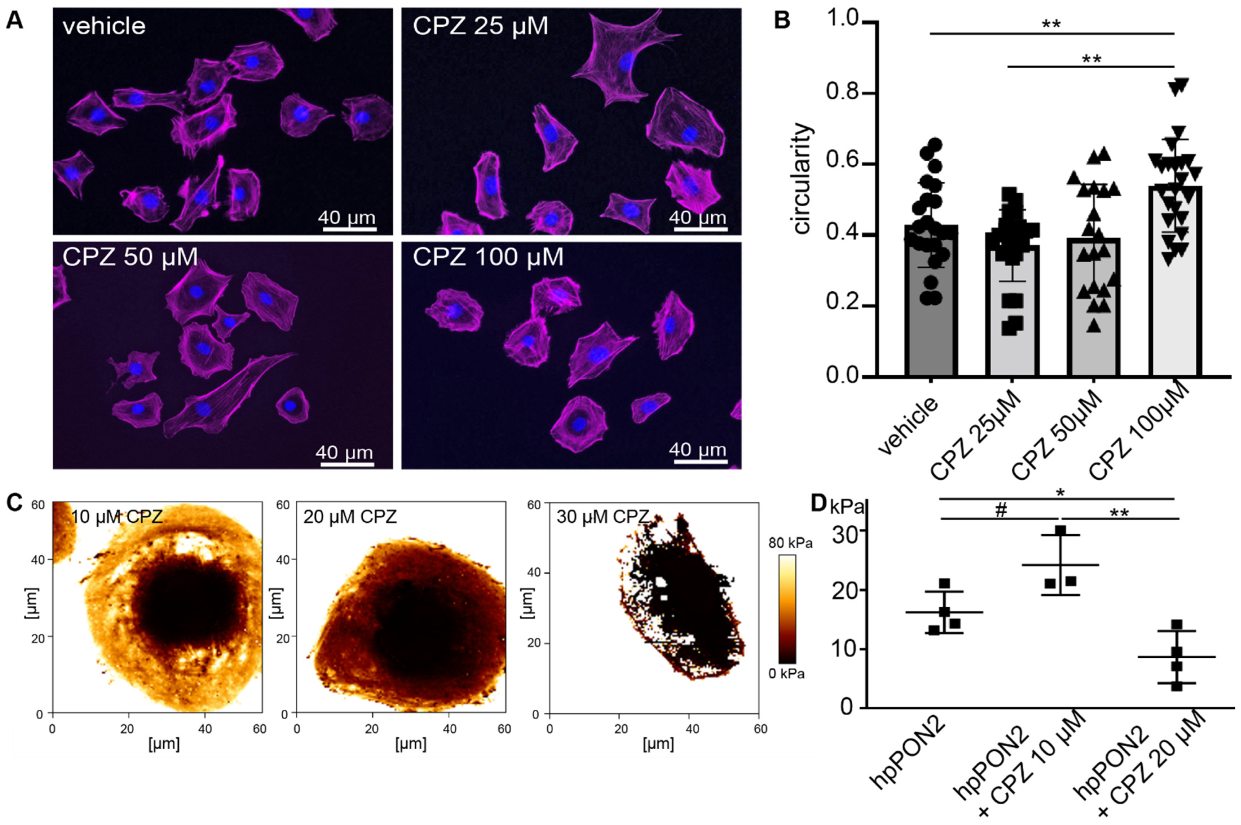 Cells 12 00271 g002 Cells 12 00271 g002