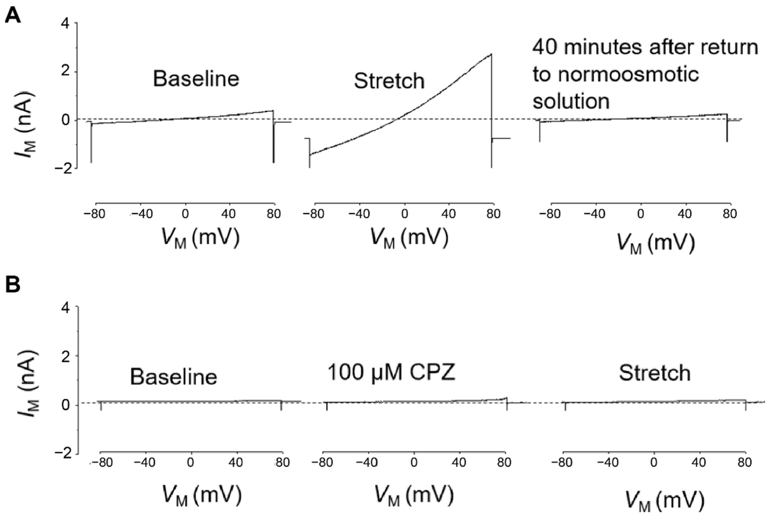 Cells 12 00271 g003 Cells 12 00271 g003