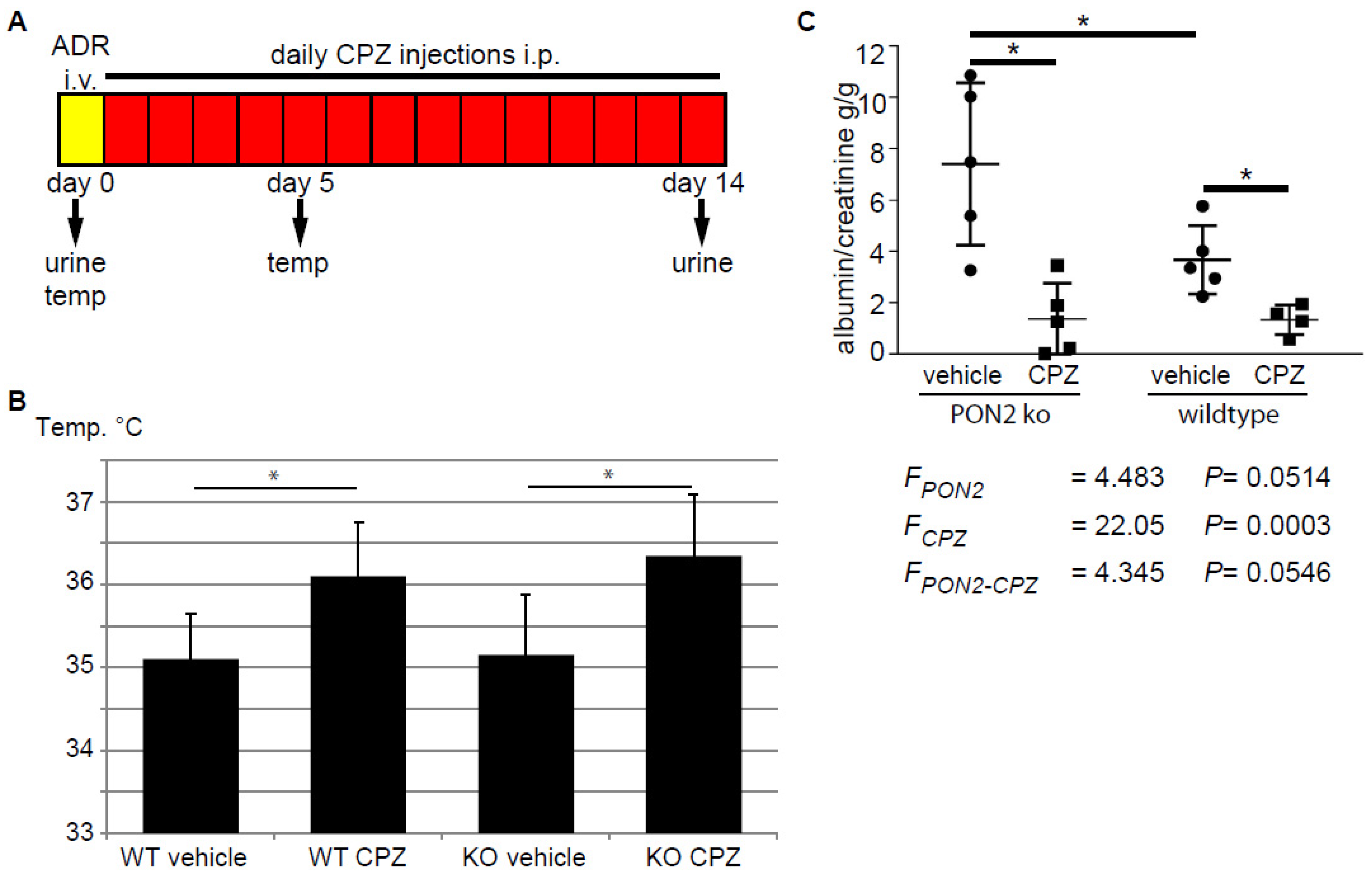 Cells 12 00271 g005 Cells 12 00271 g005